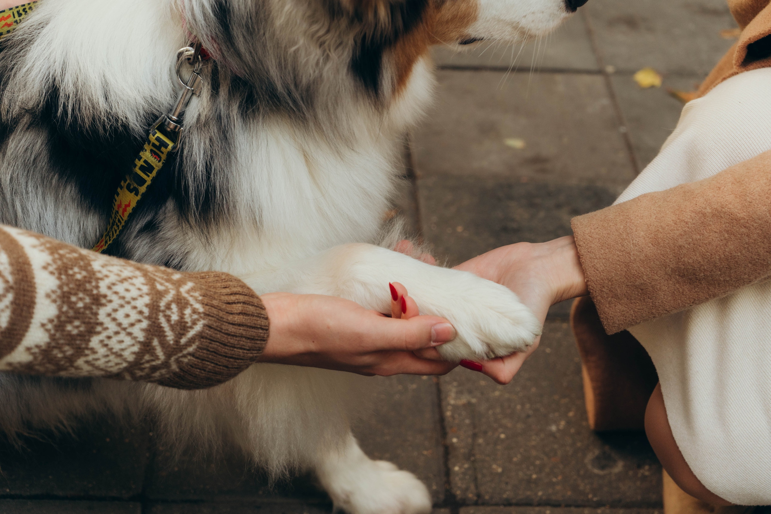 Мария Муравьёва — Фотограф в Звенигороде, Одинцово и Голицыно