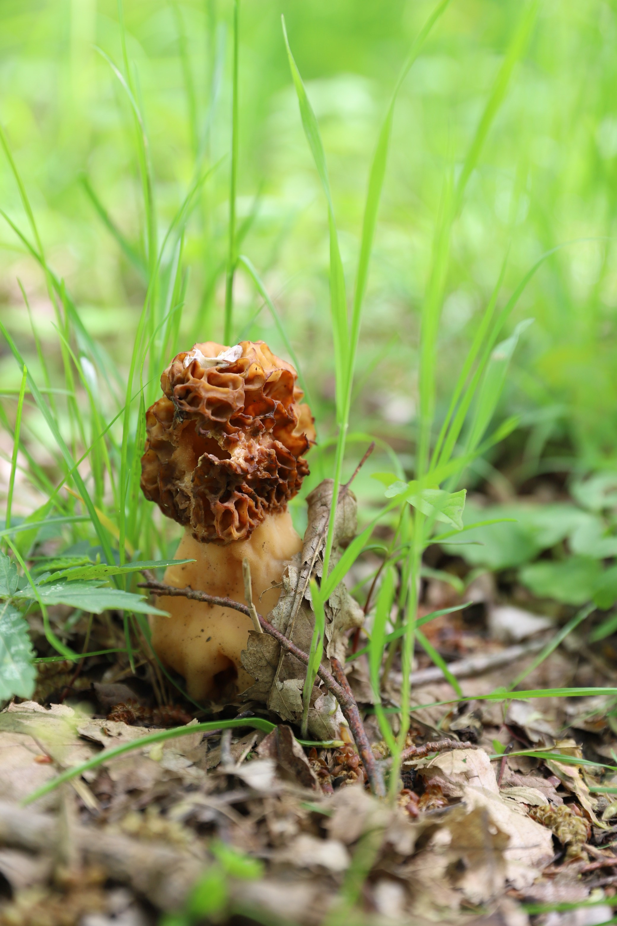 ФОТОСЕССИЯ В СТИЛЕ ГАРРИ ПОТТЕРА. Портретный фотограф в Краснодаре Надежда Елынко