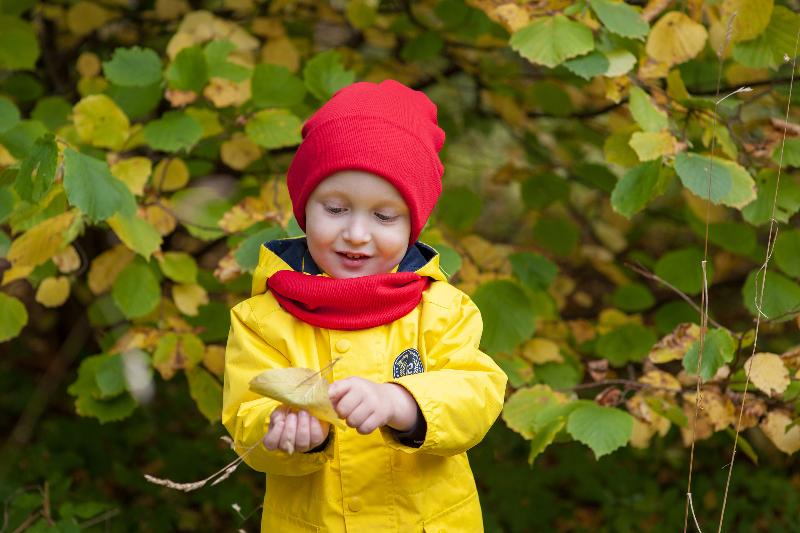 Осенняя фотосессия. Детский фотограф