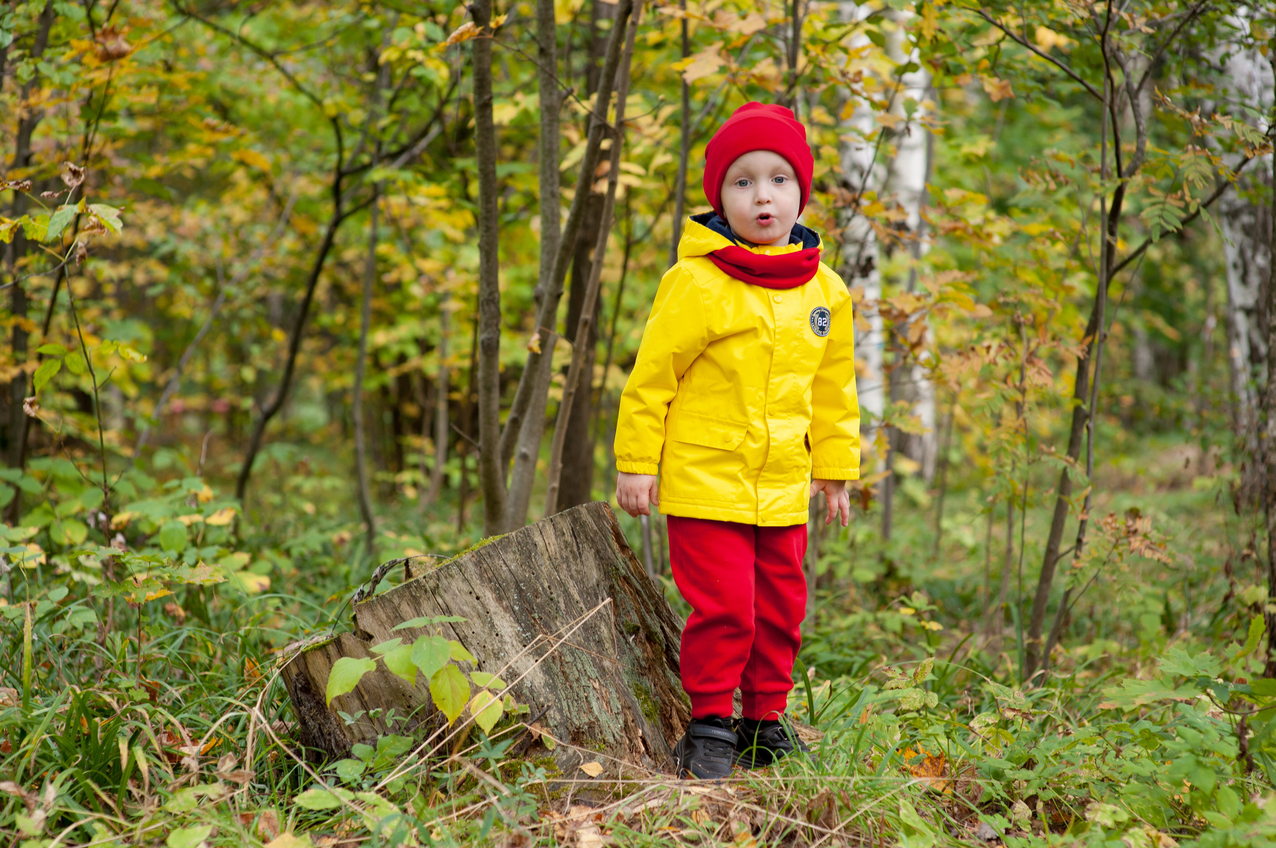 Осенняя фотосессия. Детский фотограф