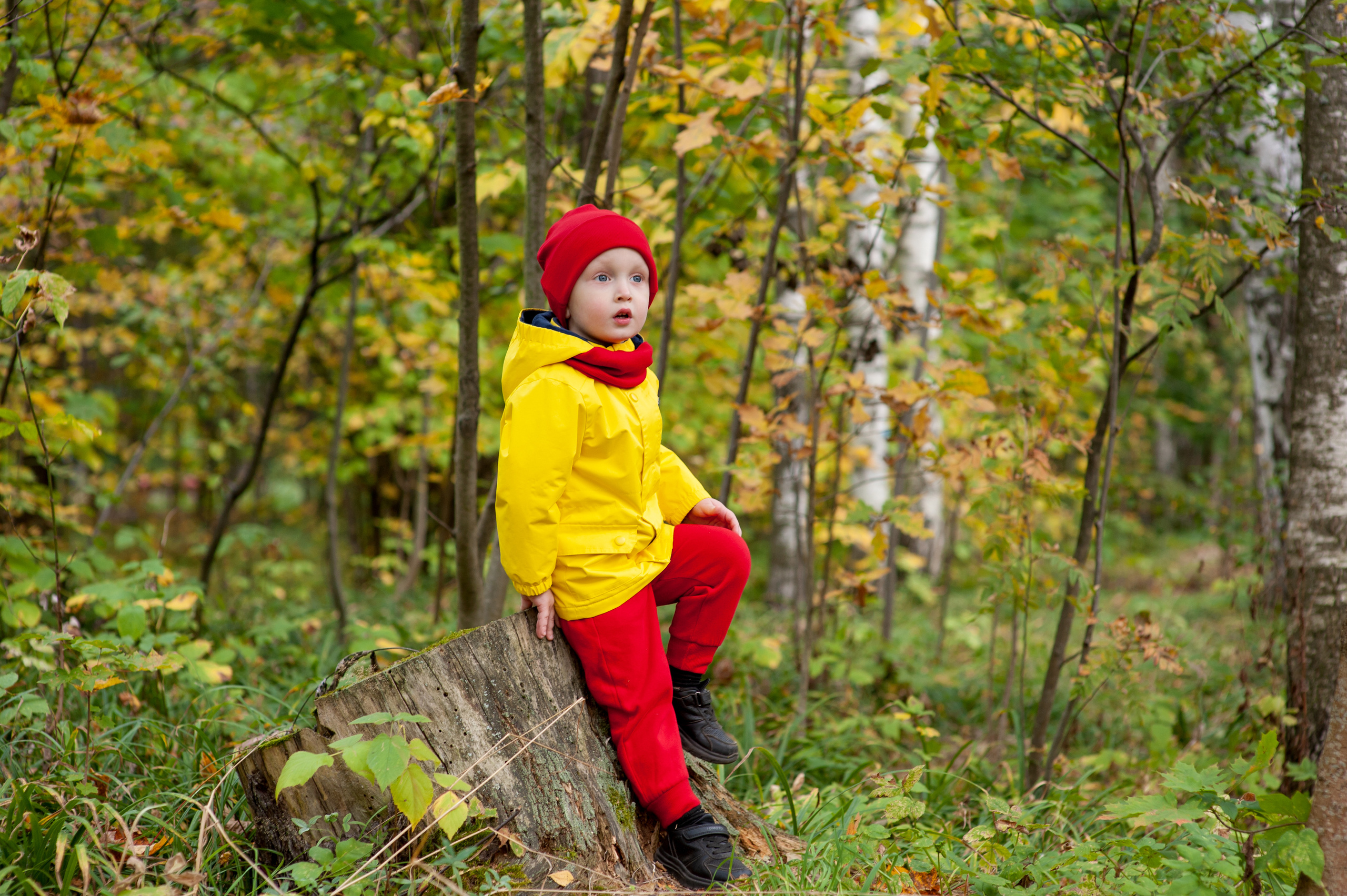 Осенняя фотосессия. Детский фотограф