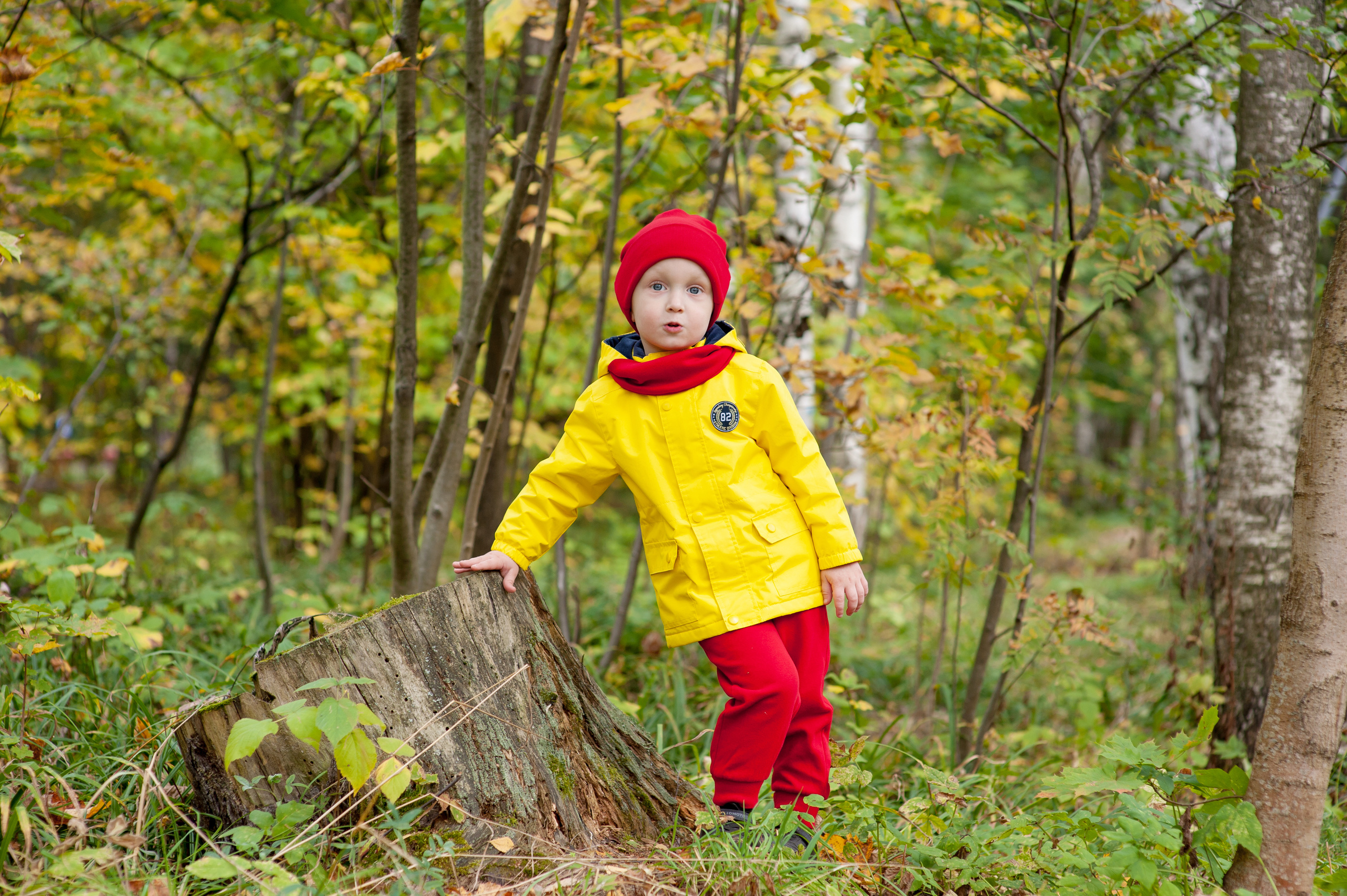 Осенняя фотосессия. Детский фотограф