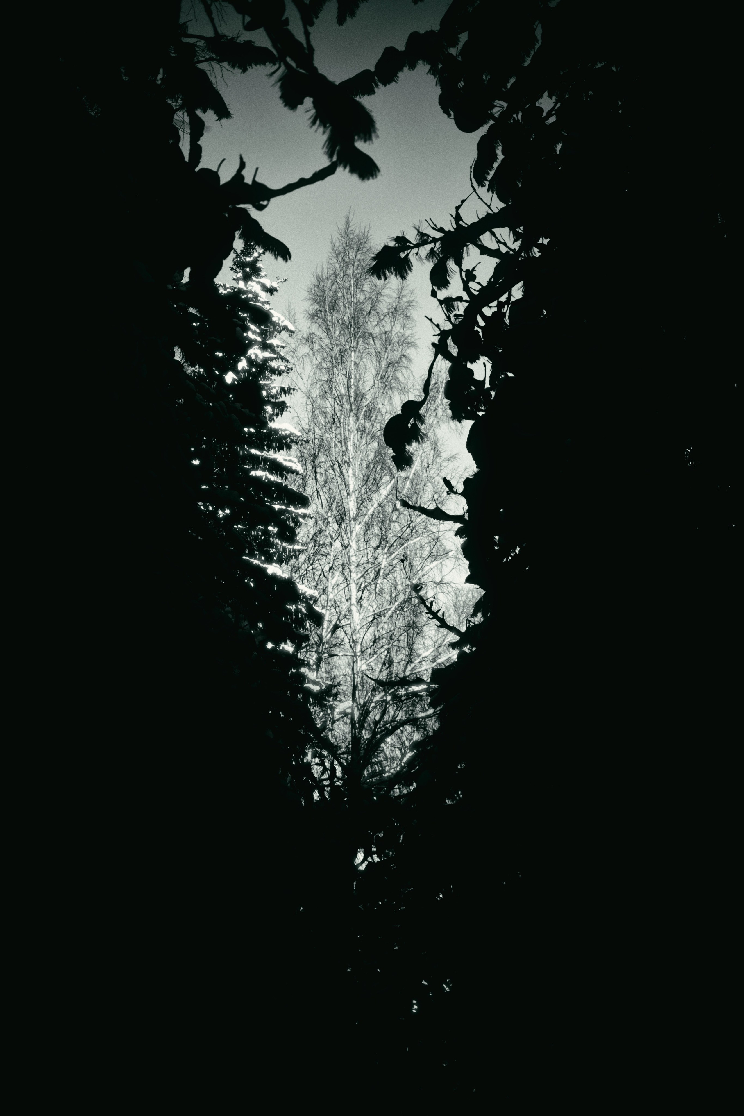 ЧБ. Фотограф-любитель из Кирова Андрей Погребняк