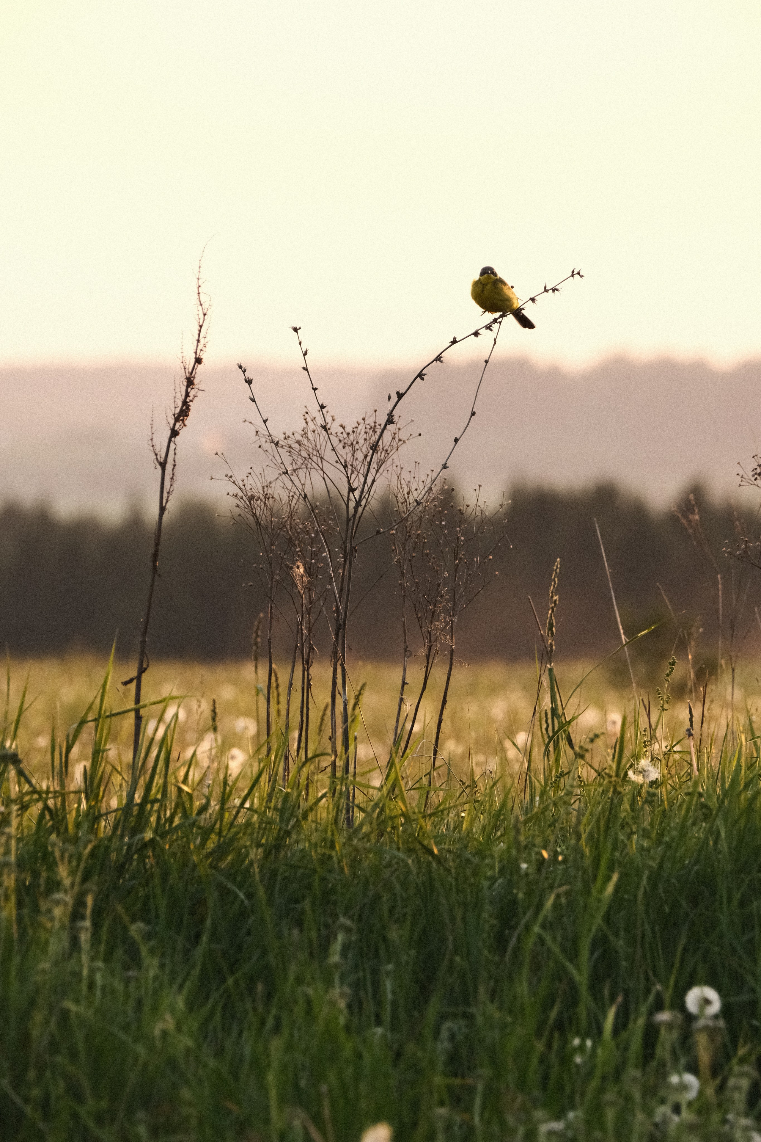 Пейзажи. Фотограф-любитель из Кирова Андрей Погребняк