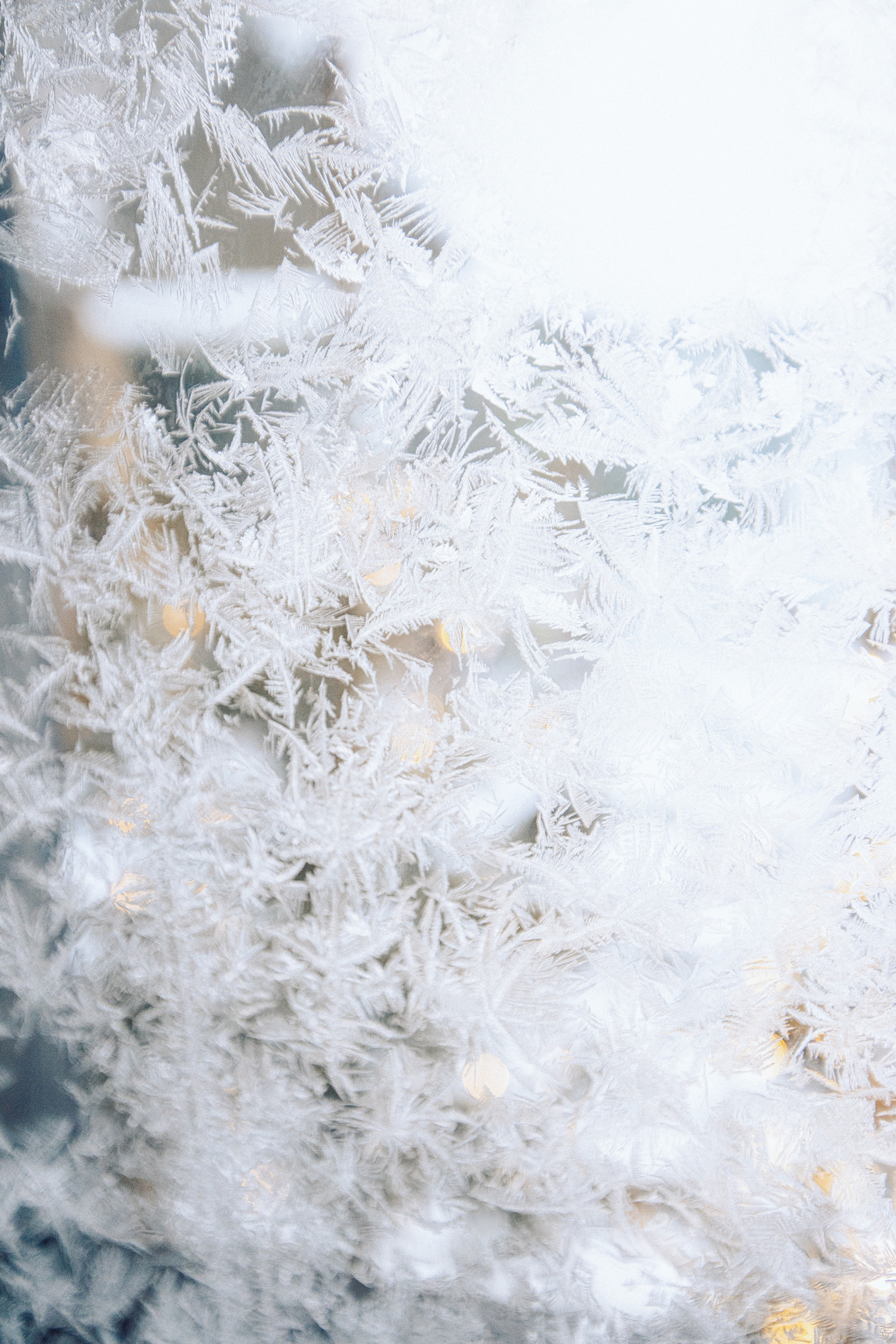 Про уютную дачу. Семейный и детский фотограф в Туле