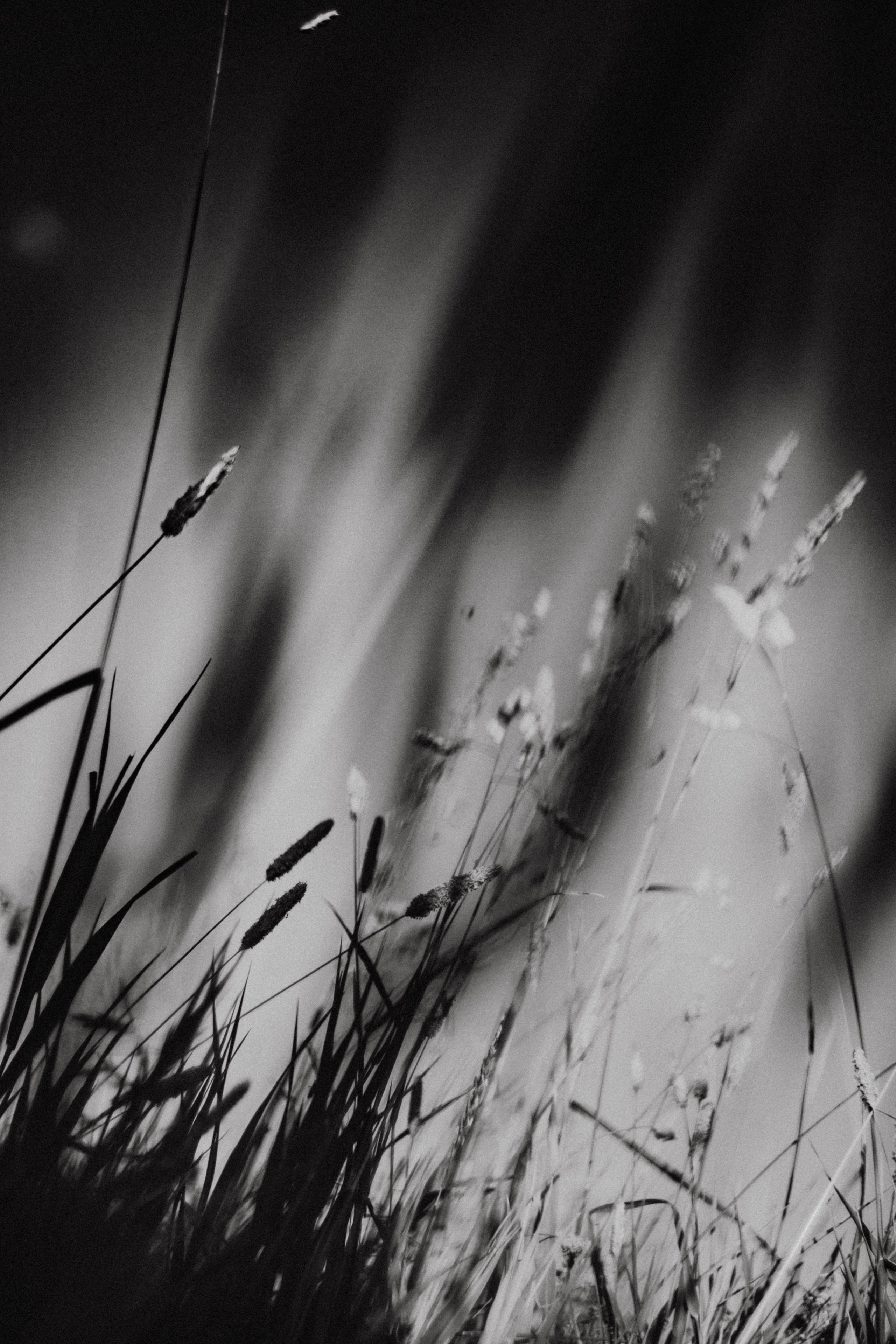 Ирина. Закат. Поле. Фотограф в Нижнем Новгороде