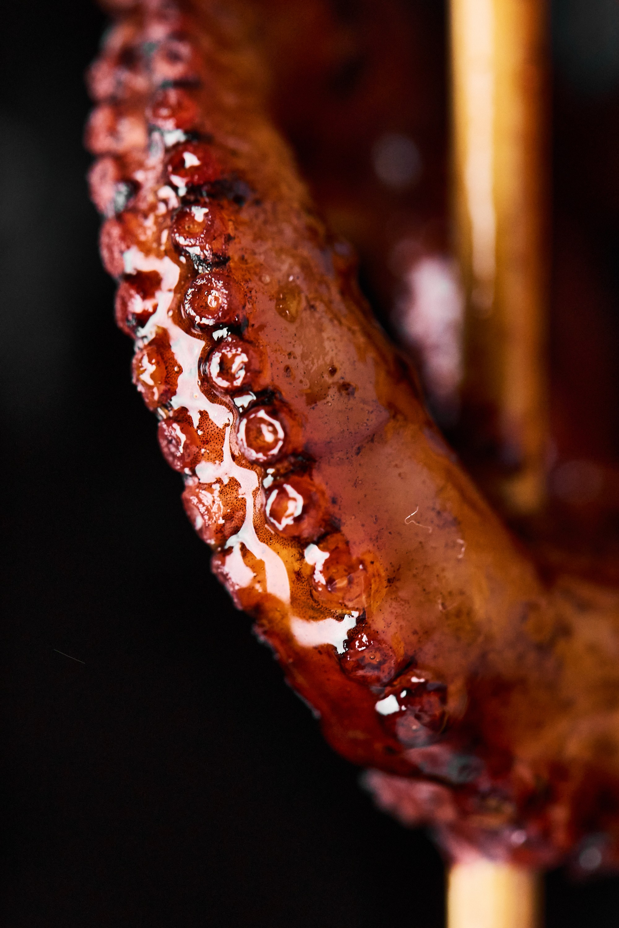 РЕСТОРАНЫ. Контент фотограф в Москве Ник Фрост