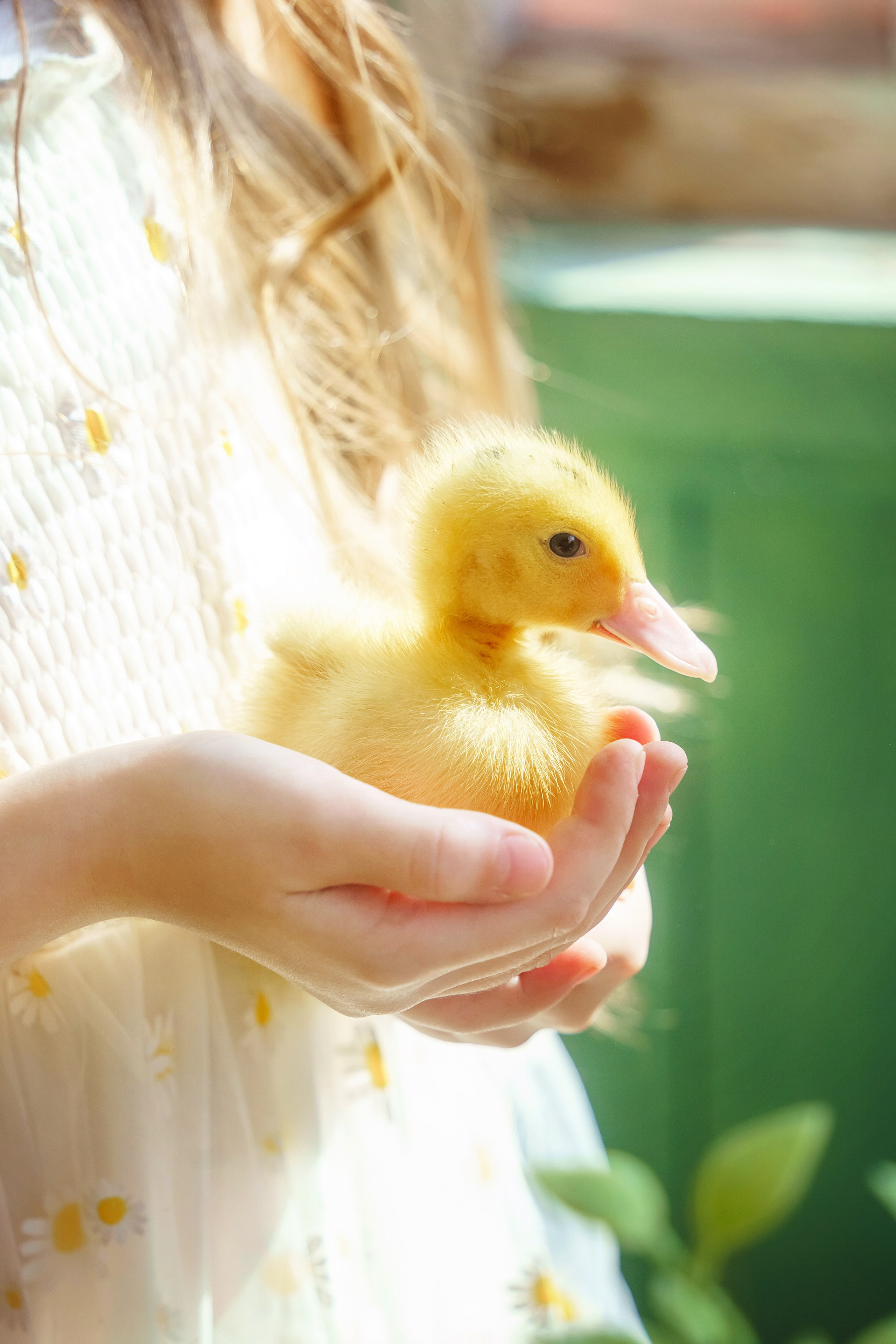 . Фотограф в Москве и Одинцово
