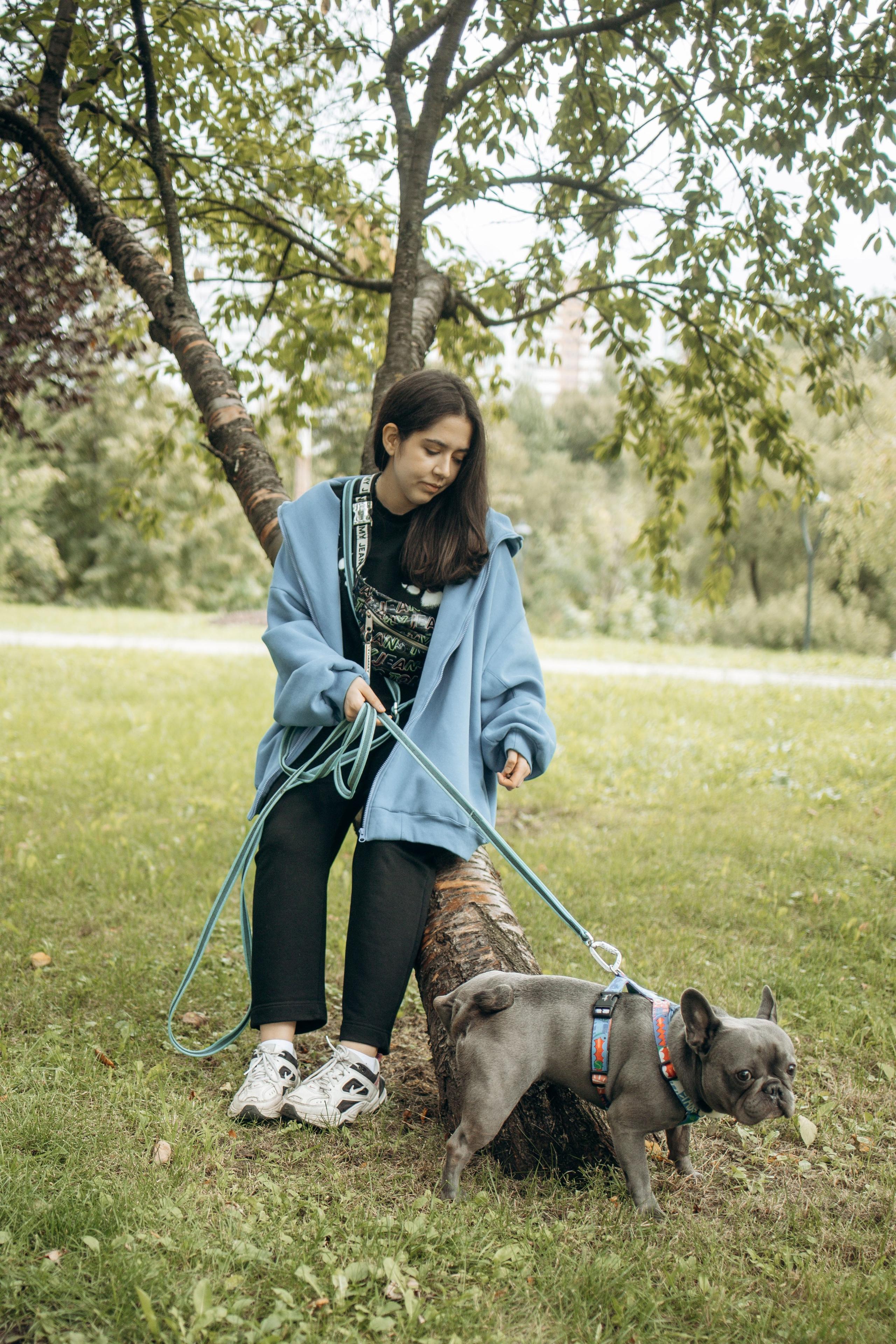 Грей и его семья