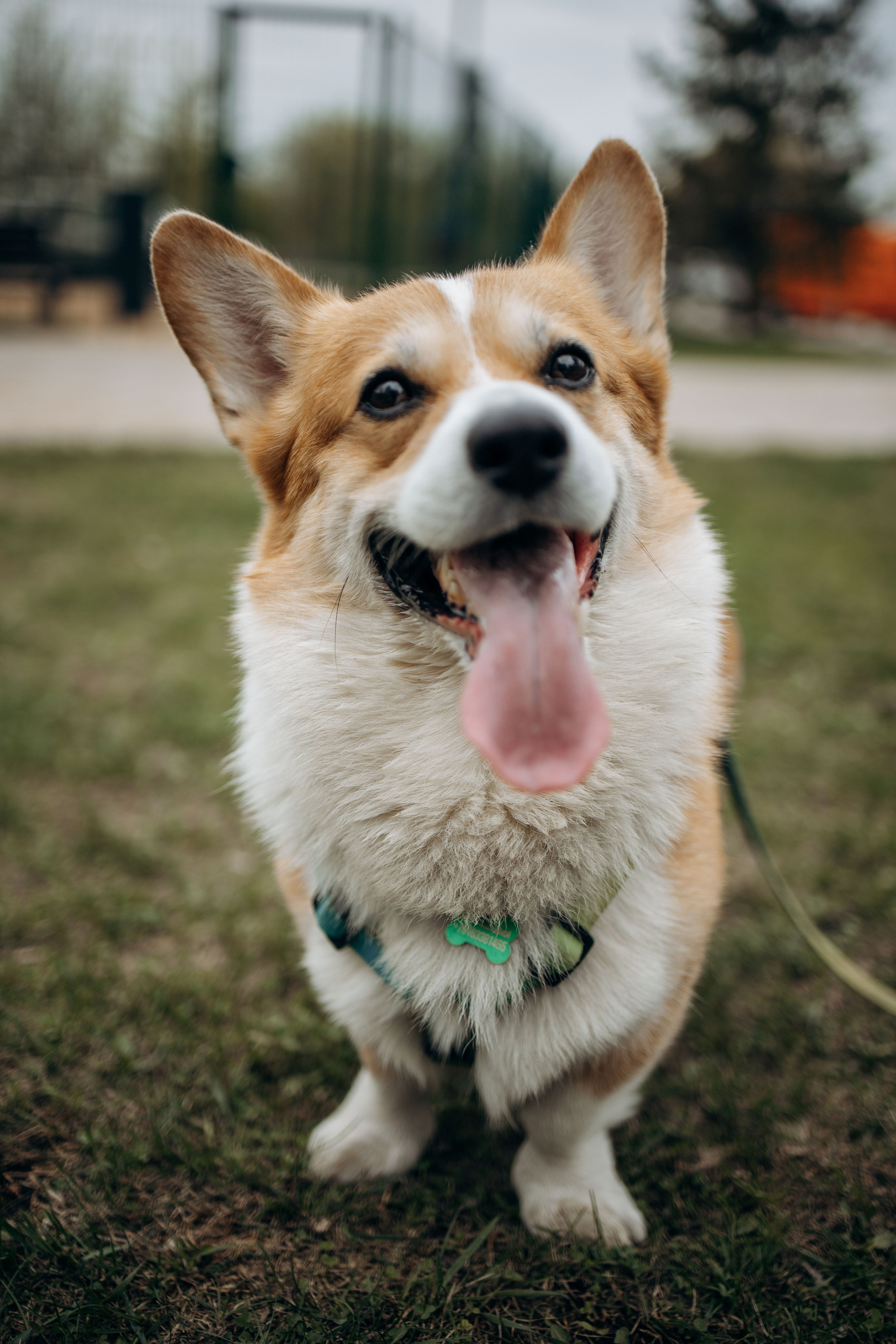 Екатерина и Альфи