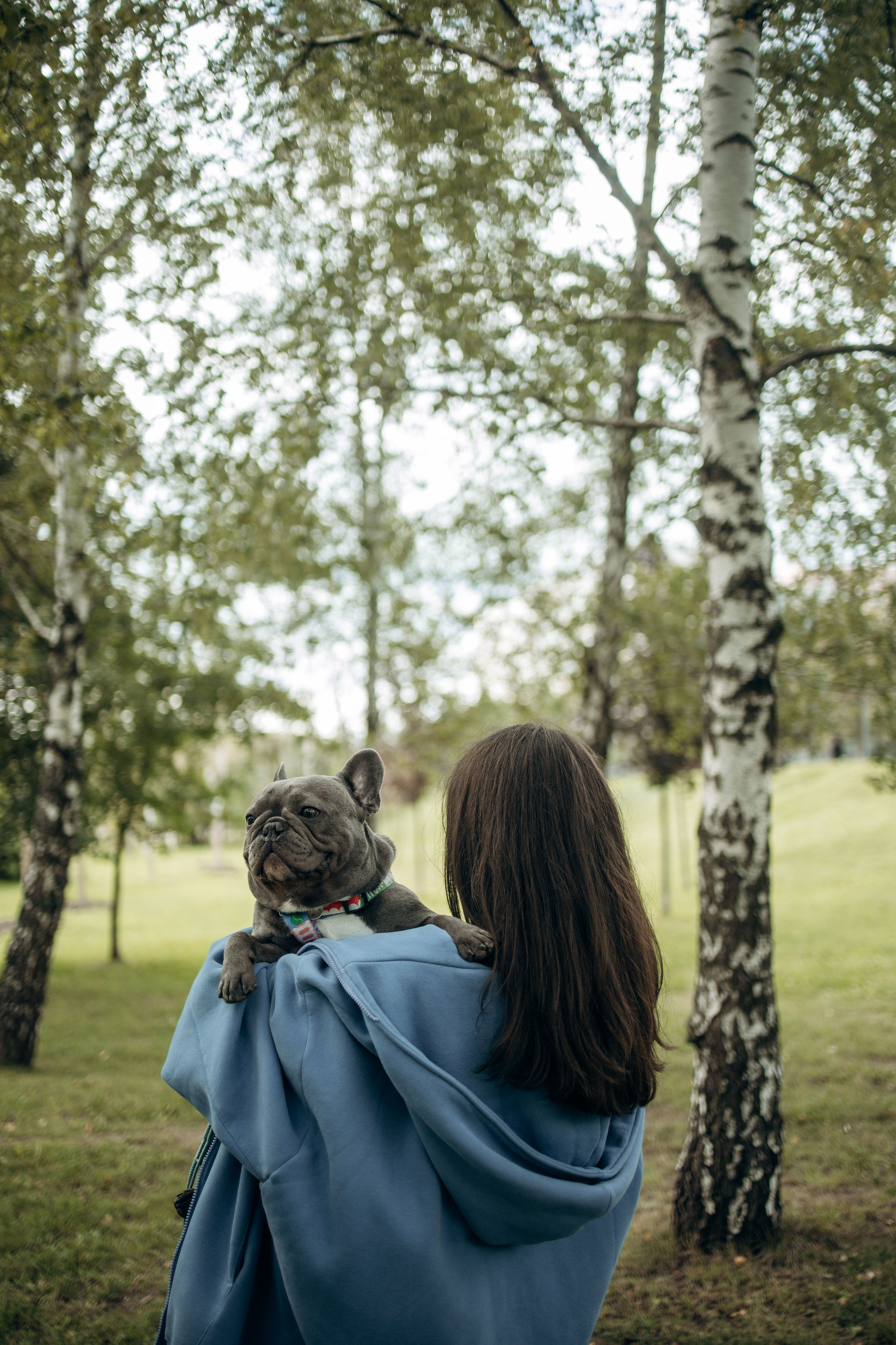 Грей и его семья