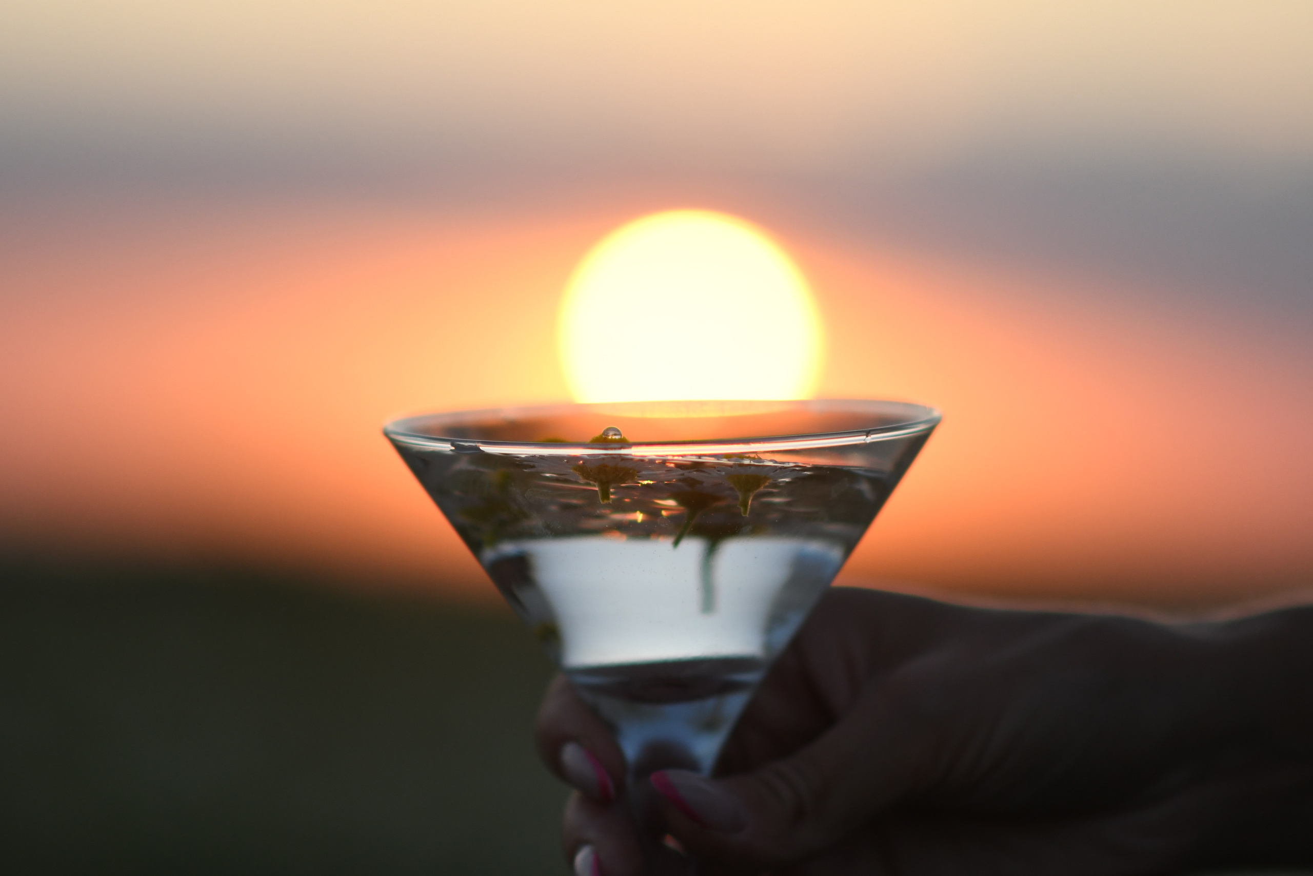 Лето. Фотограф Ольга Холина|Дебальцево