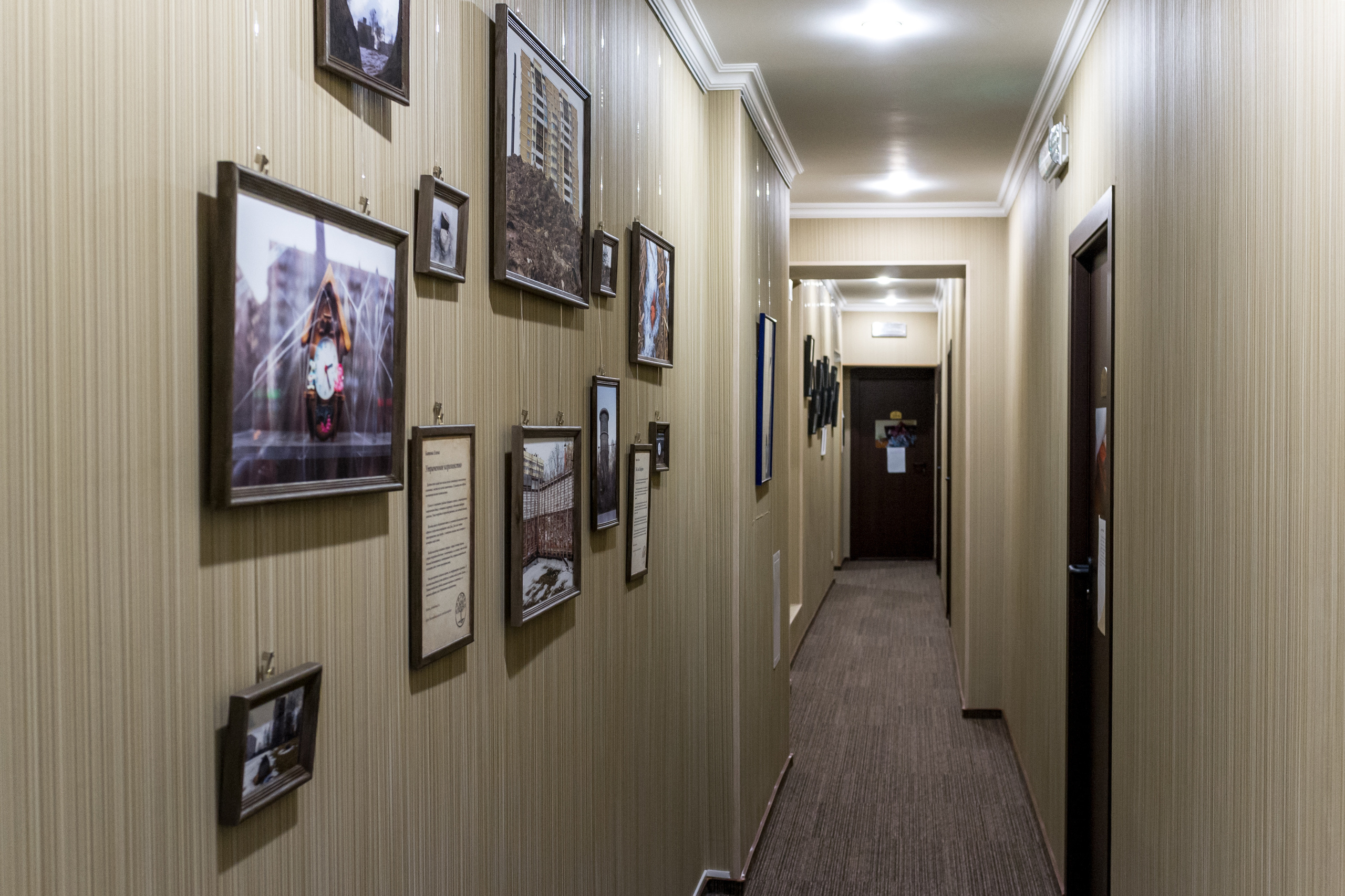 Выставка Чувство дома. Екатерина Васильева художник, куратор и преподаватель