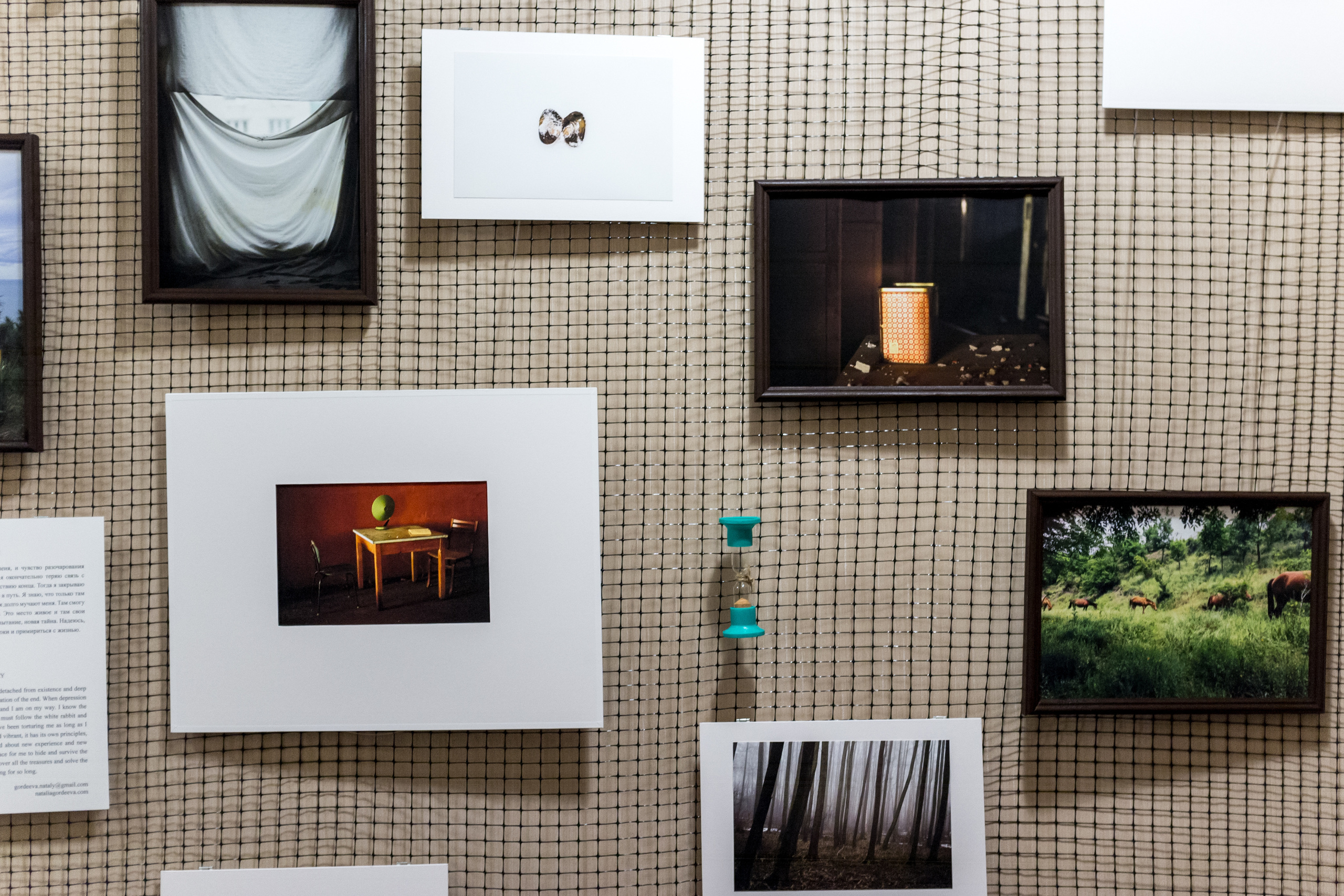 Выставка Чувство дома. Екатерина Васильева художник, куратор и преподаватель