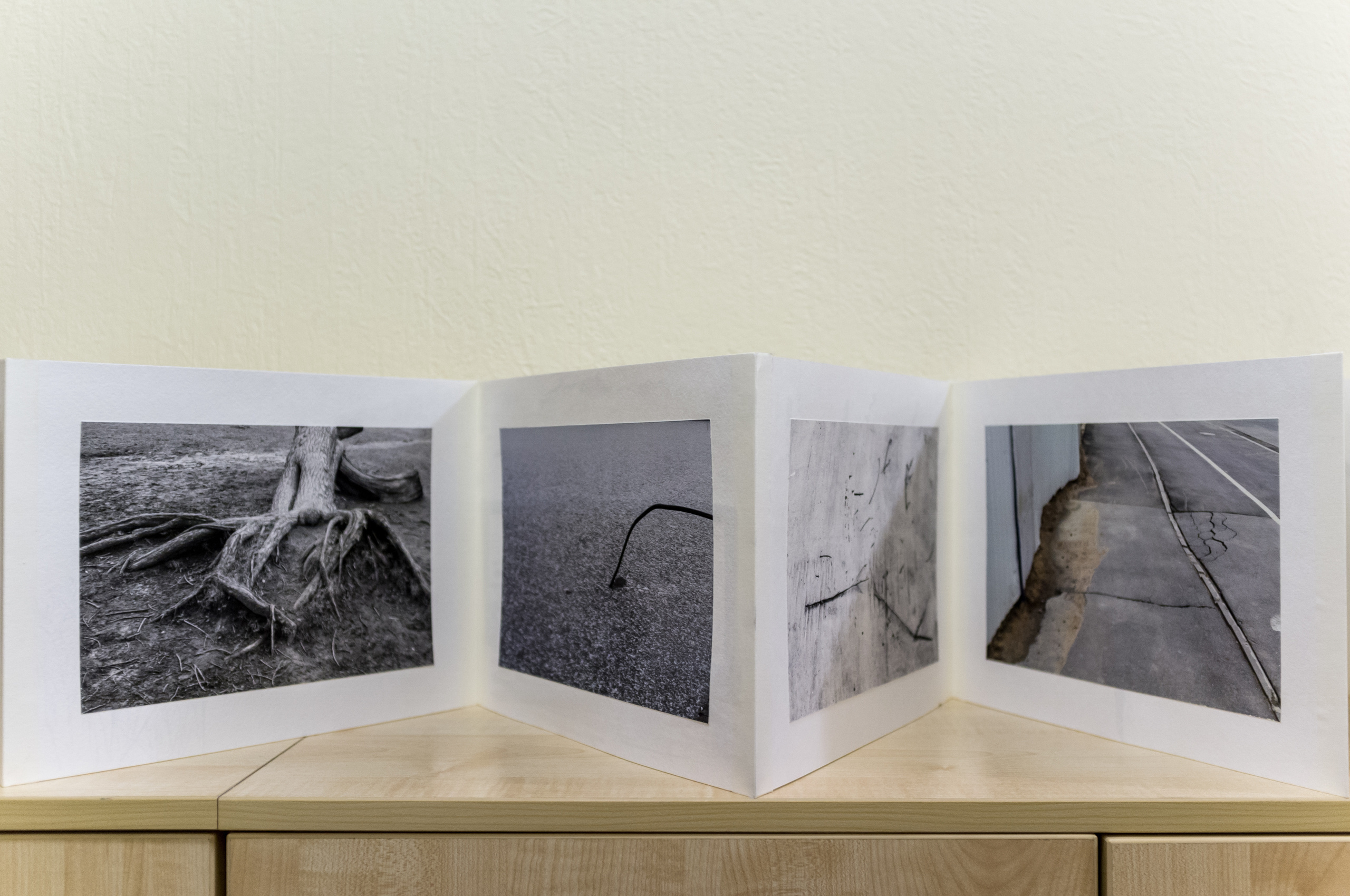 Выставка Чувство дома. Екатерина Васильева художник, куратор и преподаватель