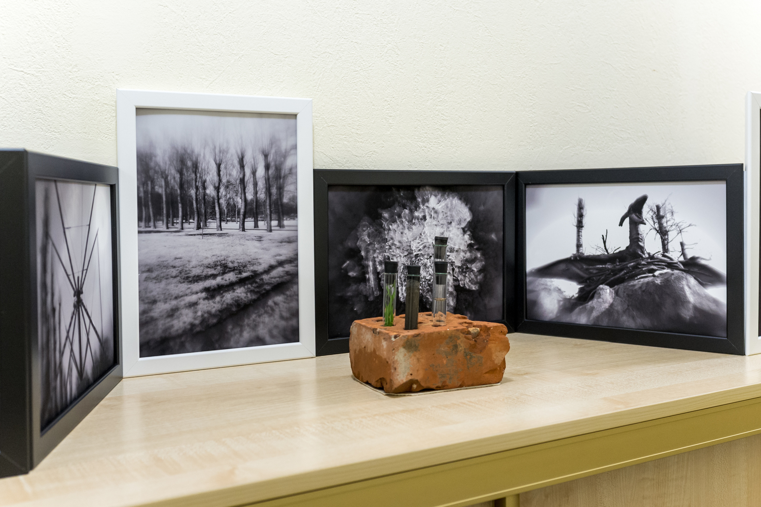 Выставка Чувство дома. Екатерина Васильева художник, куратор и преподаватель