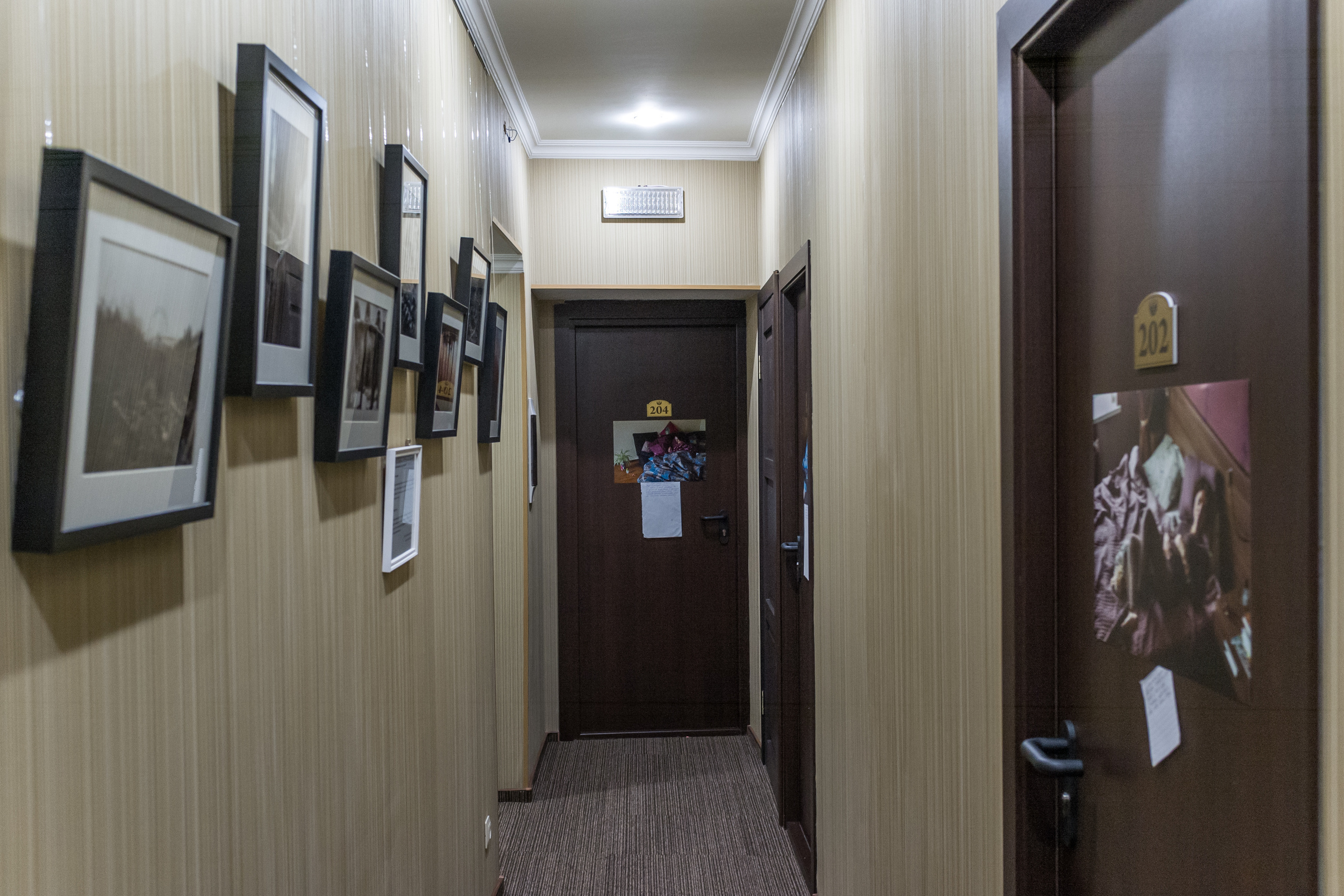 Выставка Чувство дома. Екатерина Васильева художник, куратор и преподаватель