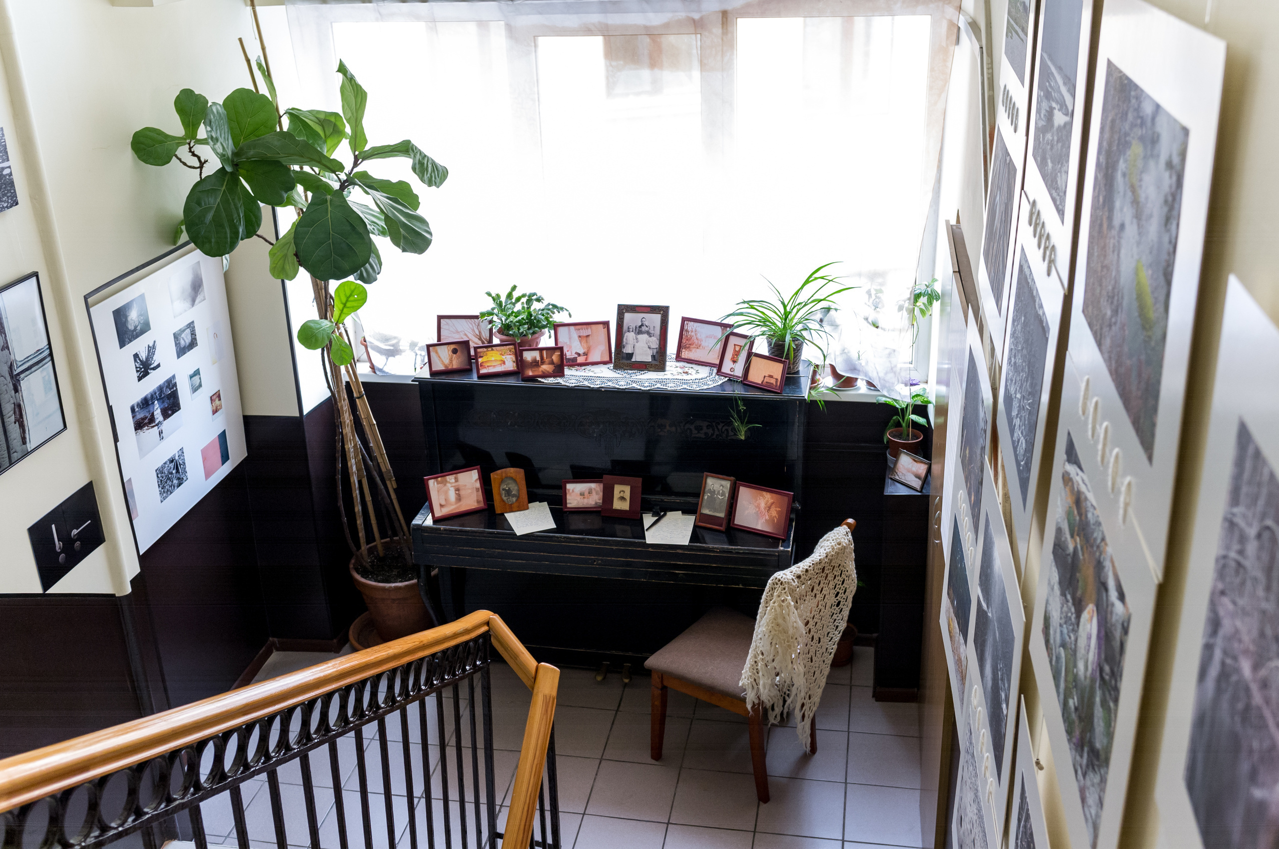 Выставка Чувство дома. Екатерина Васильева художник, куратор и преподаватель