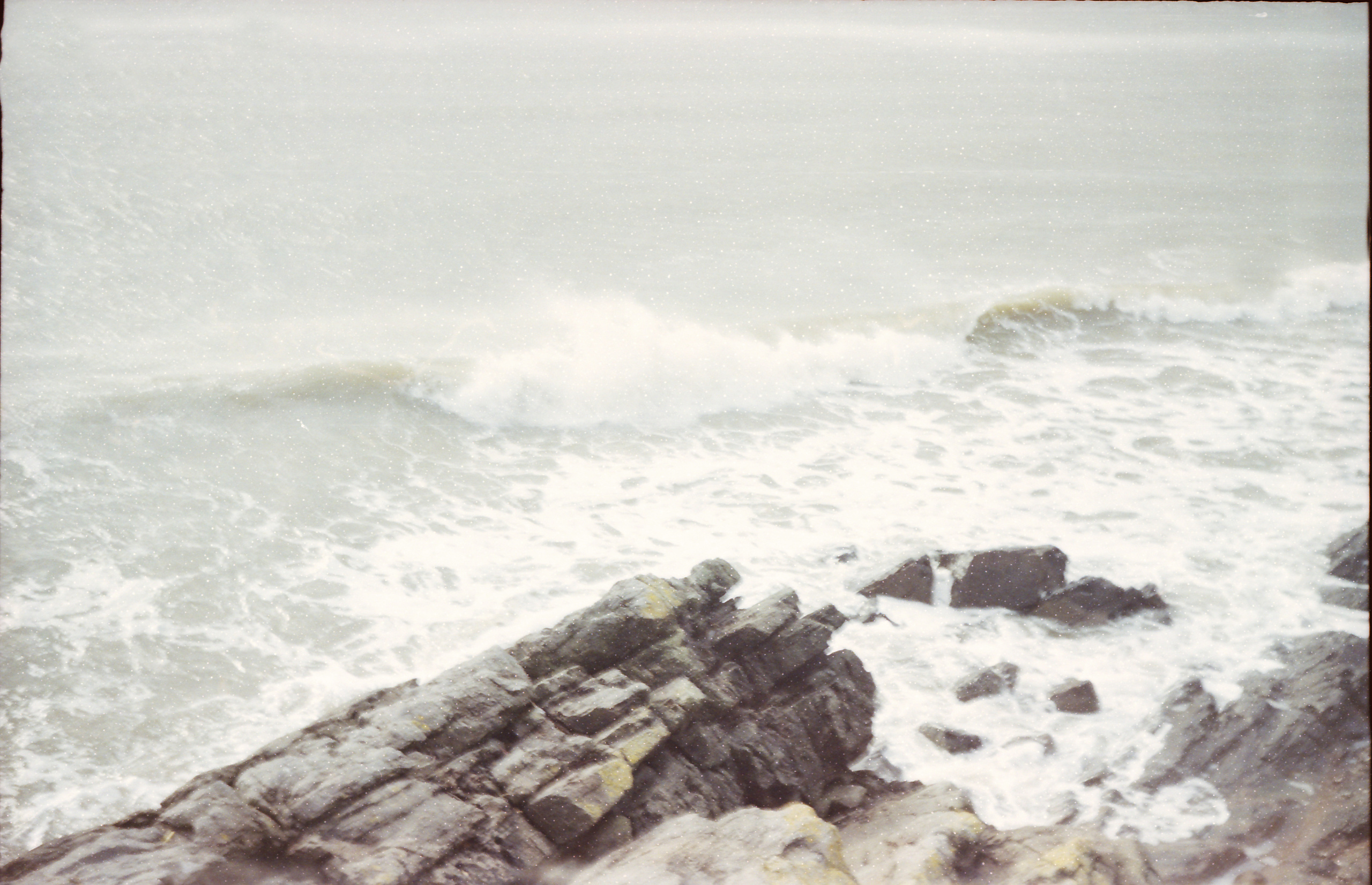 Потерпевшие кораблекрушение. Екатерина Васильева художник, куратор и преподаватель