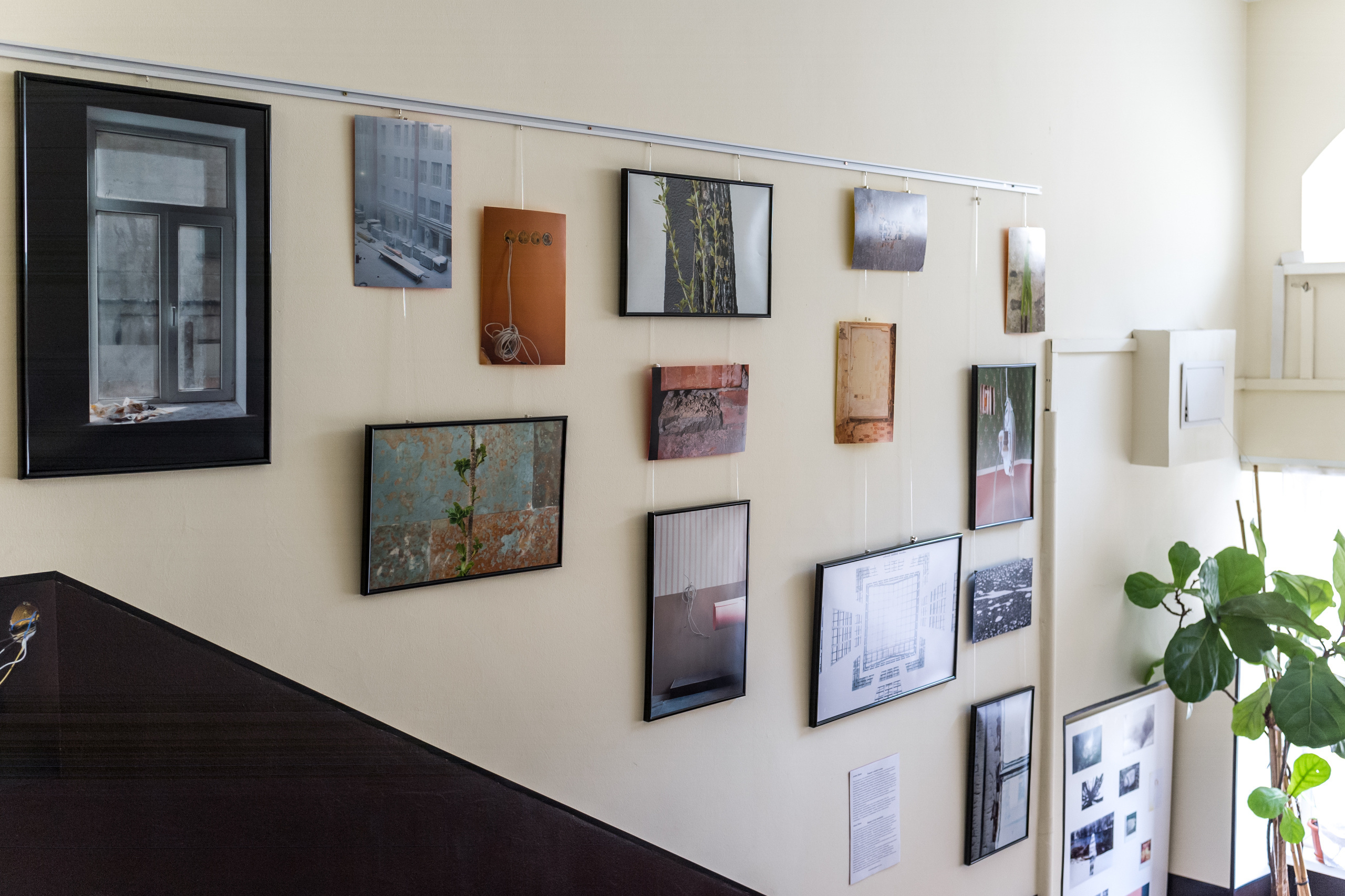 Выставка Чувство дома. Екатерина Васильева художник, куратор и преподаватель