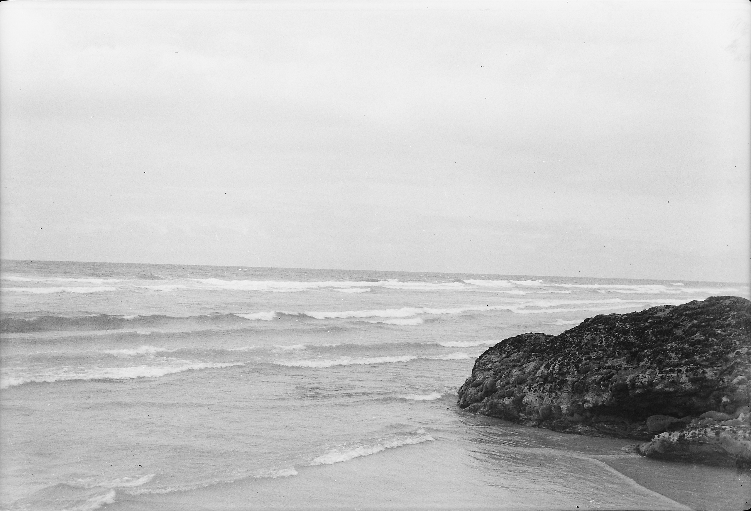 Потерпевшие кораблекрушение. Екатерина Васильева художник, куратор и преподаватель