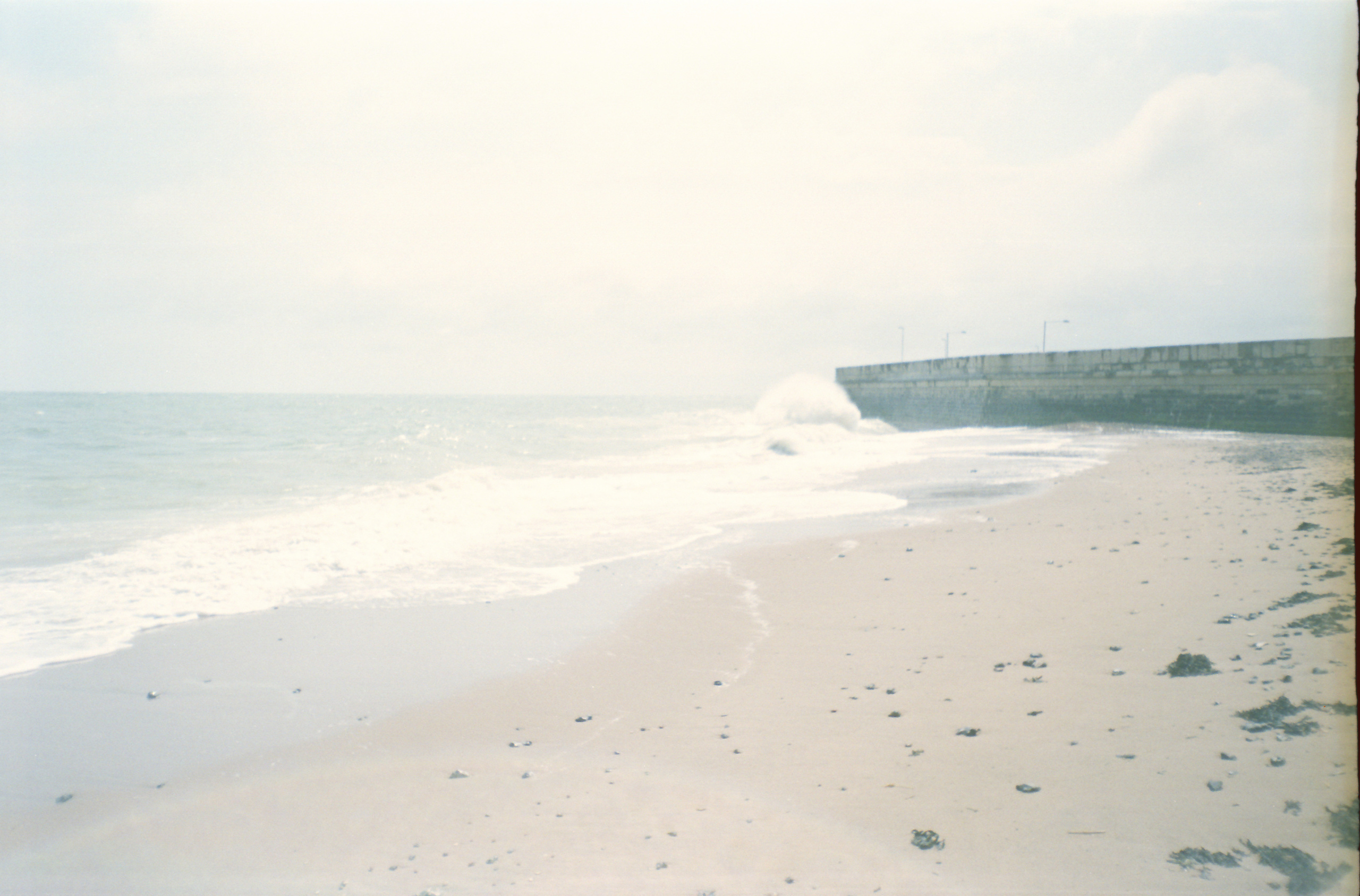 Потерпевшие кораблекрушение. Екатерина Васильева художник, куратор и преподаватель