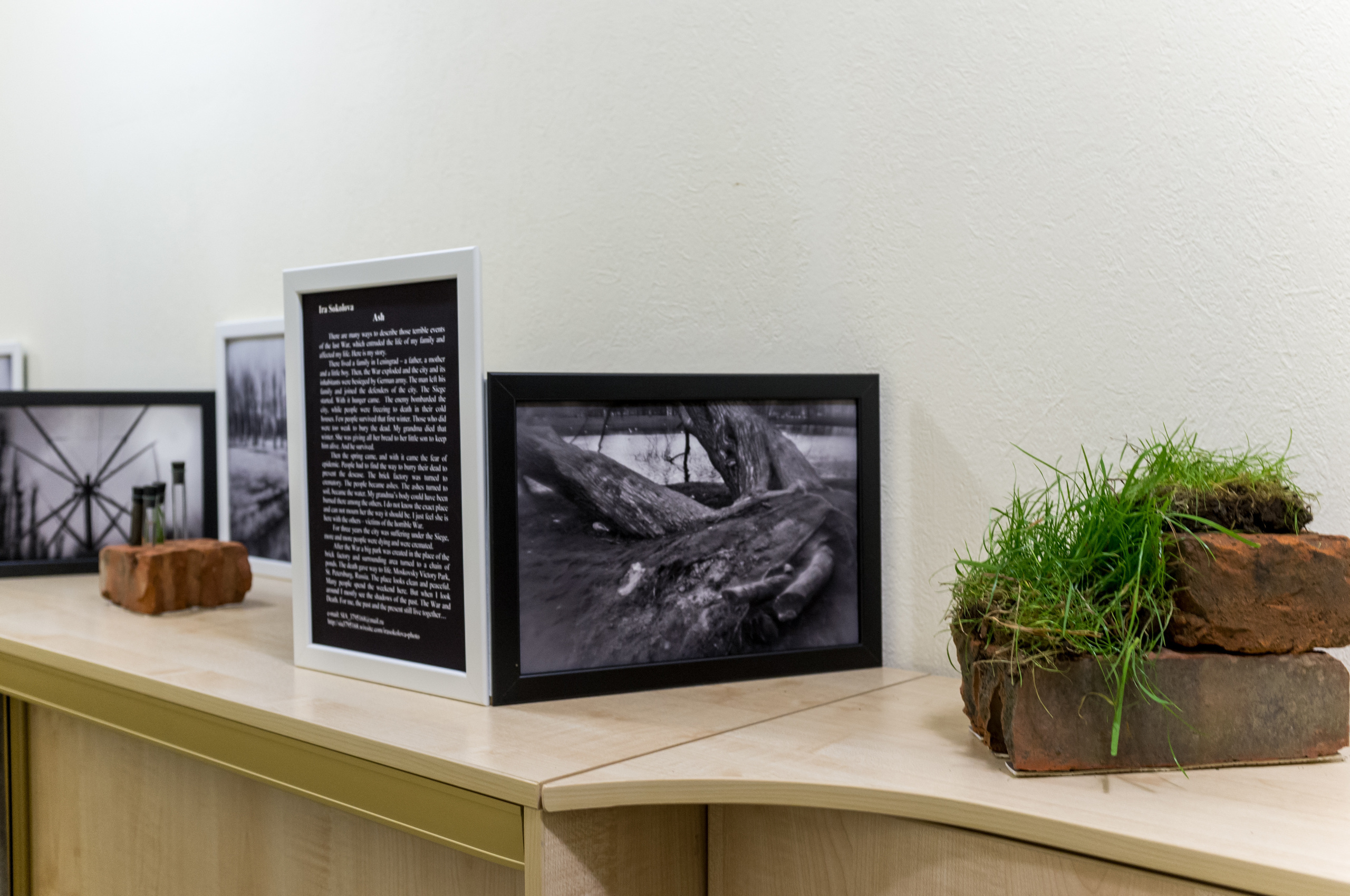 Выставка Чувство дома. Екатерина Васильева художник, куратор и преподаватель