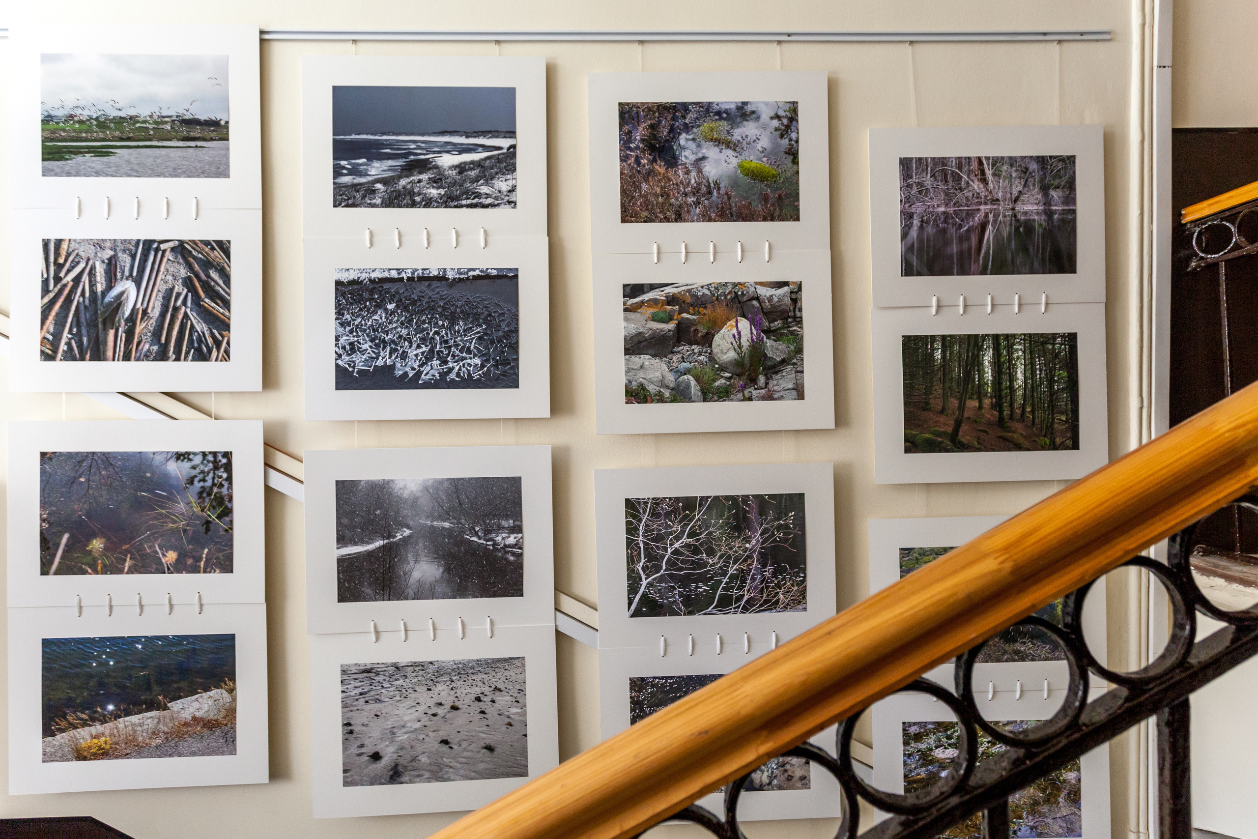 Выставка Чувство дома. Екатерина Васильева художник, куратор и преподаватель