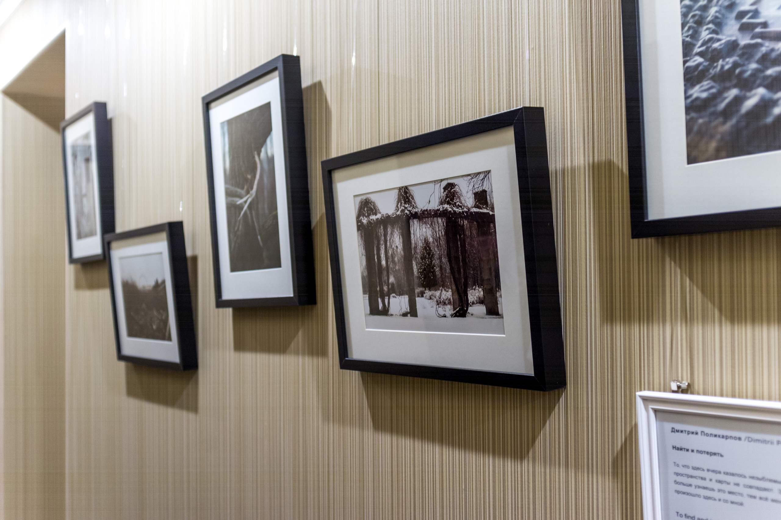 Выставка Чувство дома. Екатерина Васильева художник, куратор и преподаватель