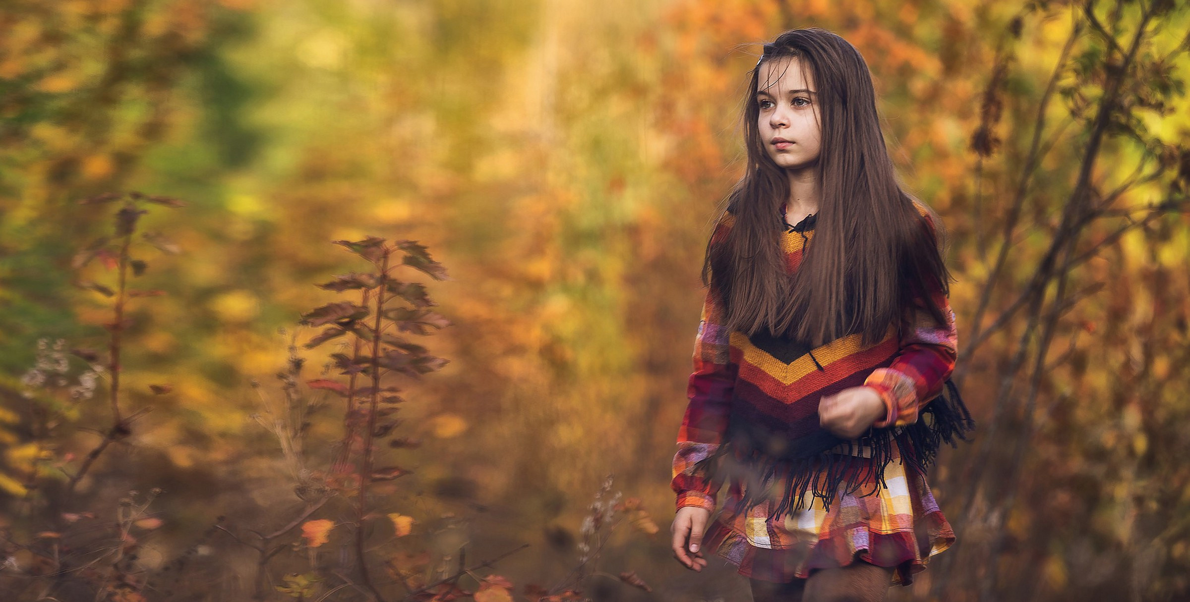 Фотокнига Золотая осень. Фотограф Алексей Иголкин в Воронеже