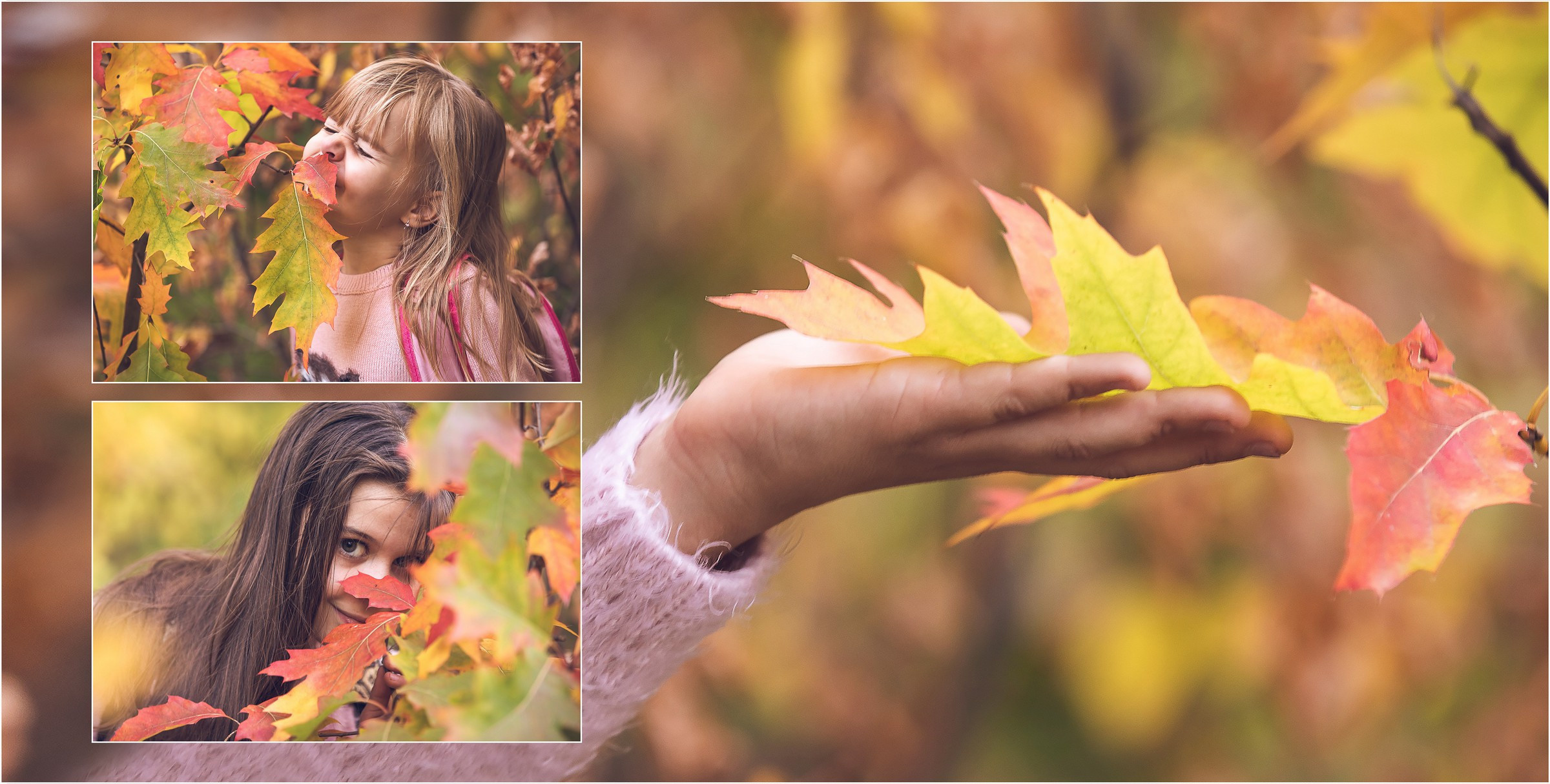 Фотокнига Золотая осень. Фотограф Алексей Иголкин в Воронеже