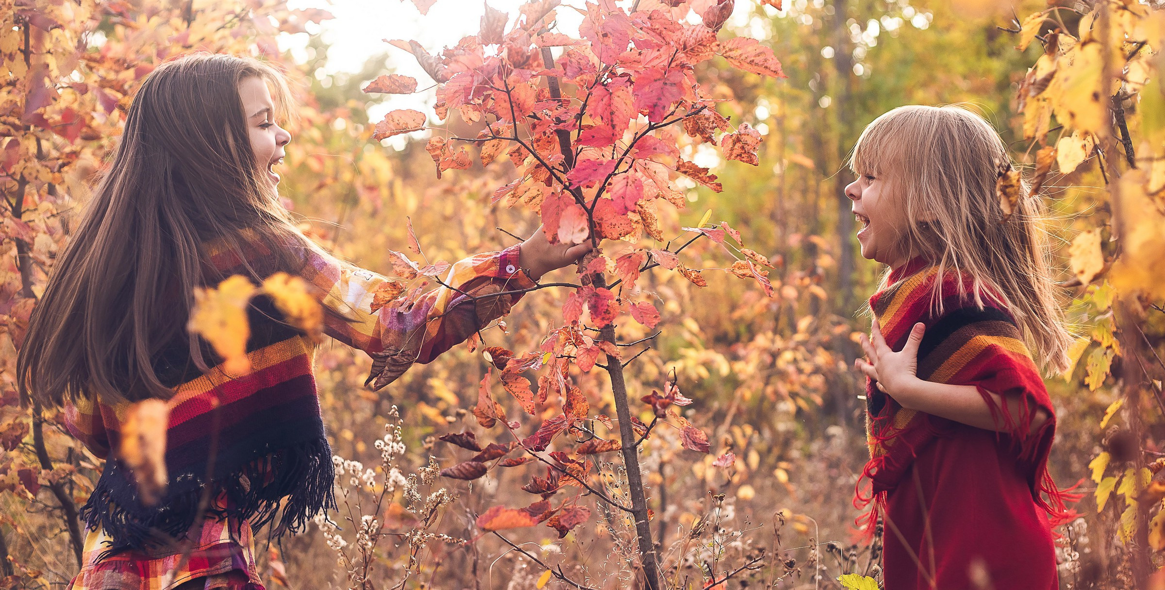 Фотокнига Золотая осень. Фотограф Алексей Иголкин в Воронеже