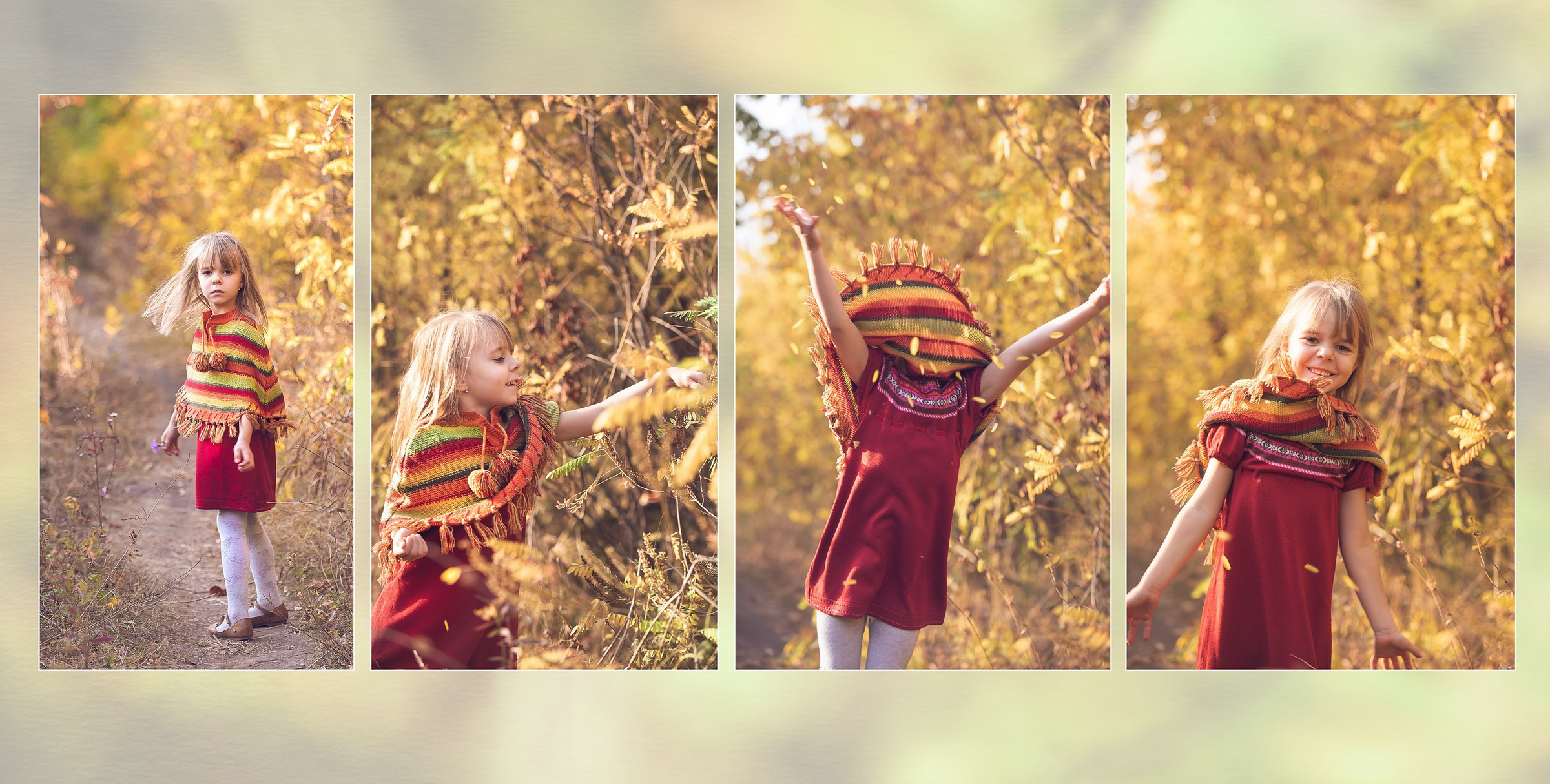 Фотокнига Золотая осень. Фотограф Алексей Иголкин в Воронеже