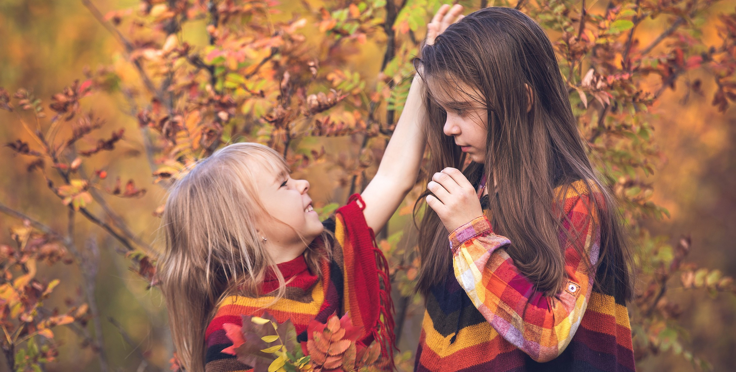 Фотокнига Золотая осень. Фотограф Алексей Иголкин в Воронеже