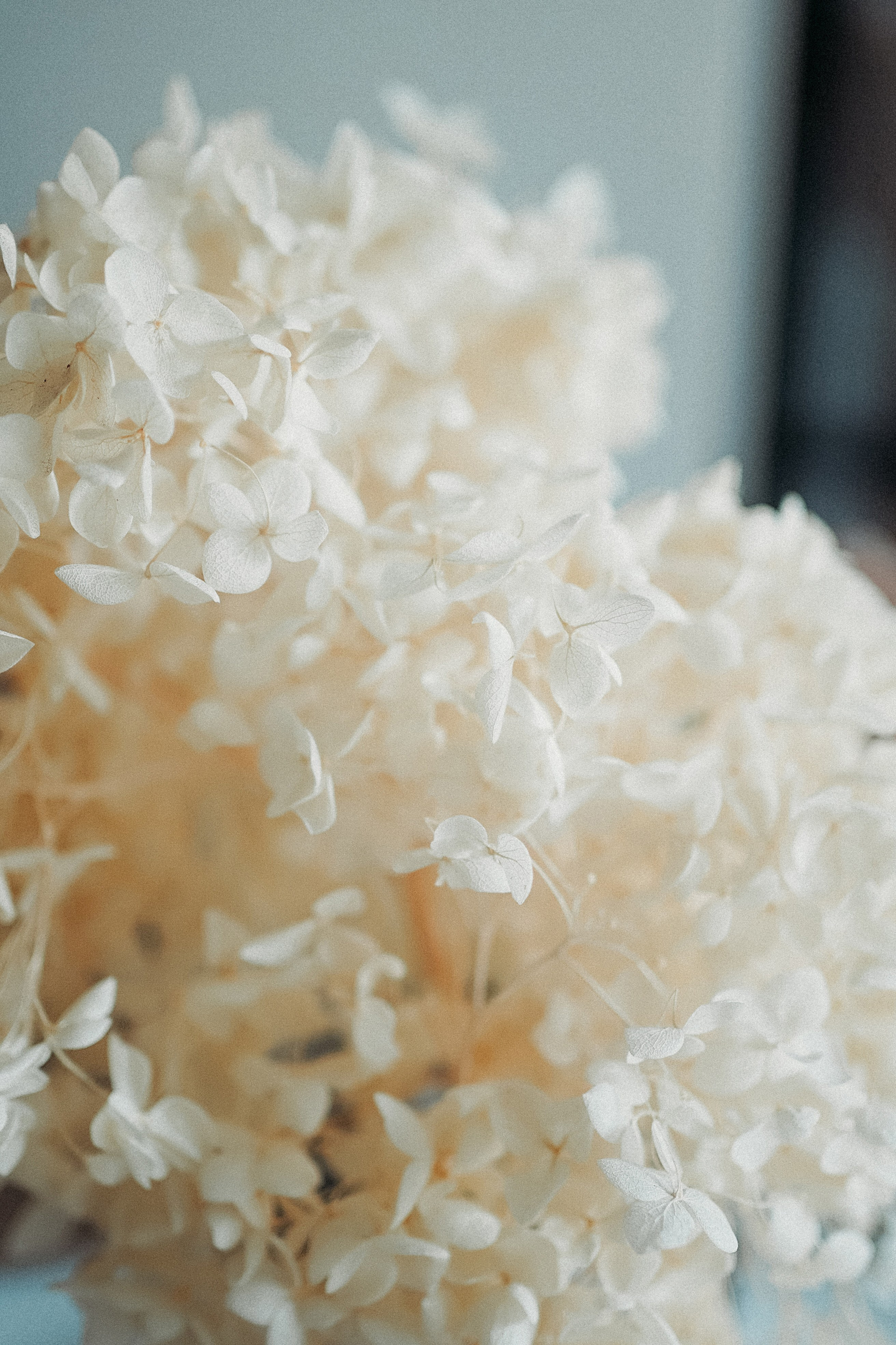 Елена, Андрей и малыши. Фотограф Наталья Колганова