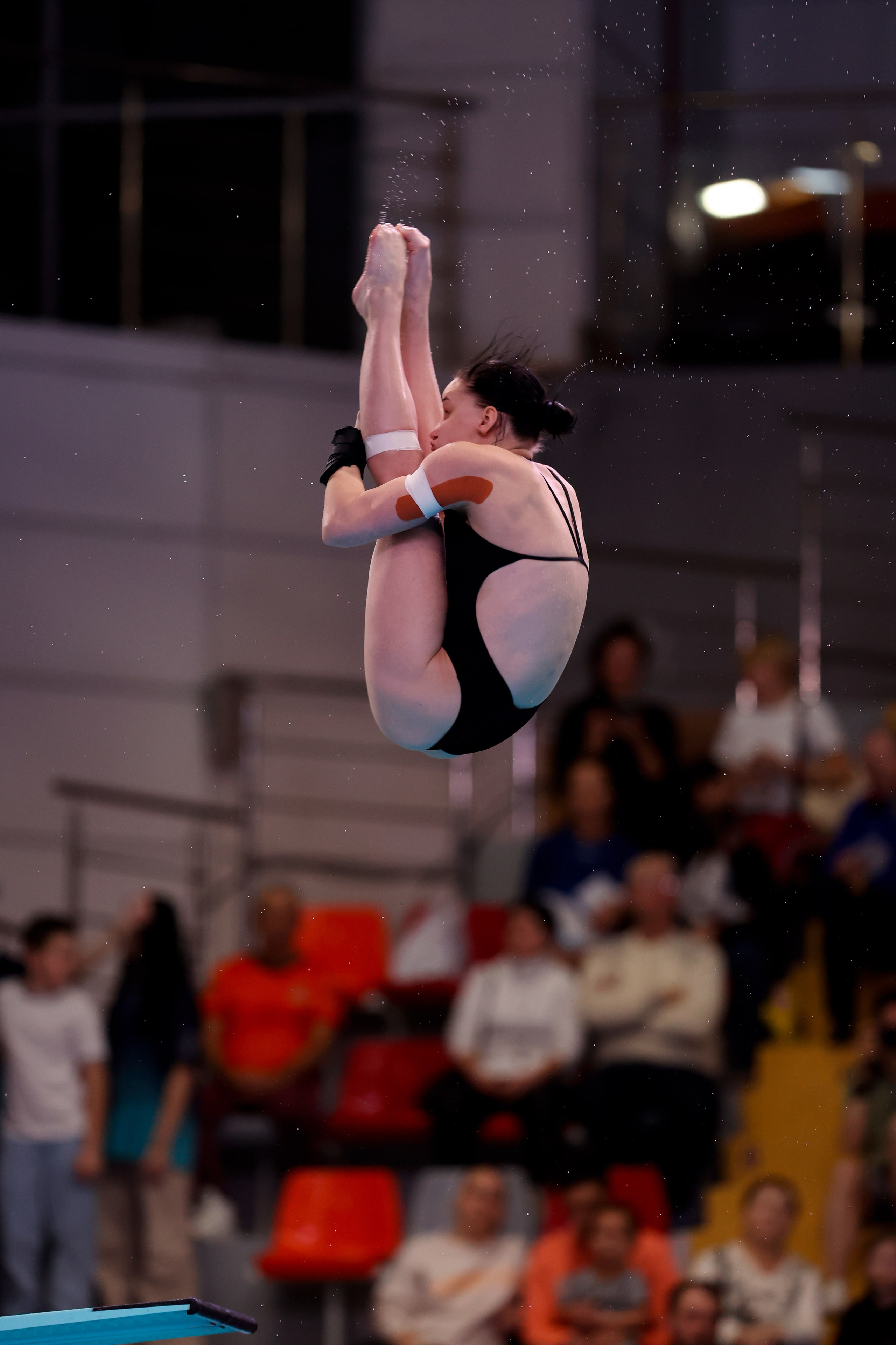 Кубок России по прыжкам в воду 04-08.02.2025. Спортивный и репортажный фотограф Антон Тереханов