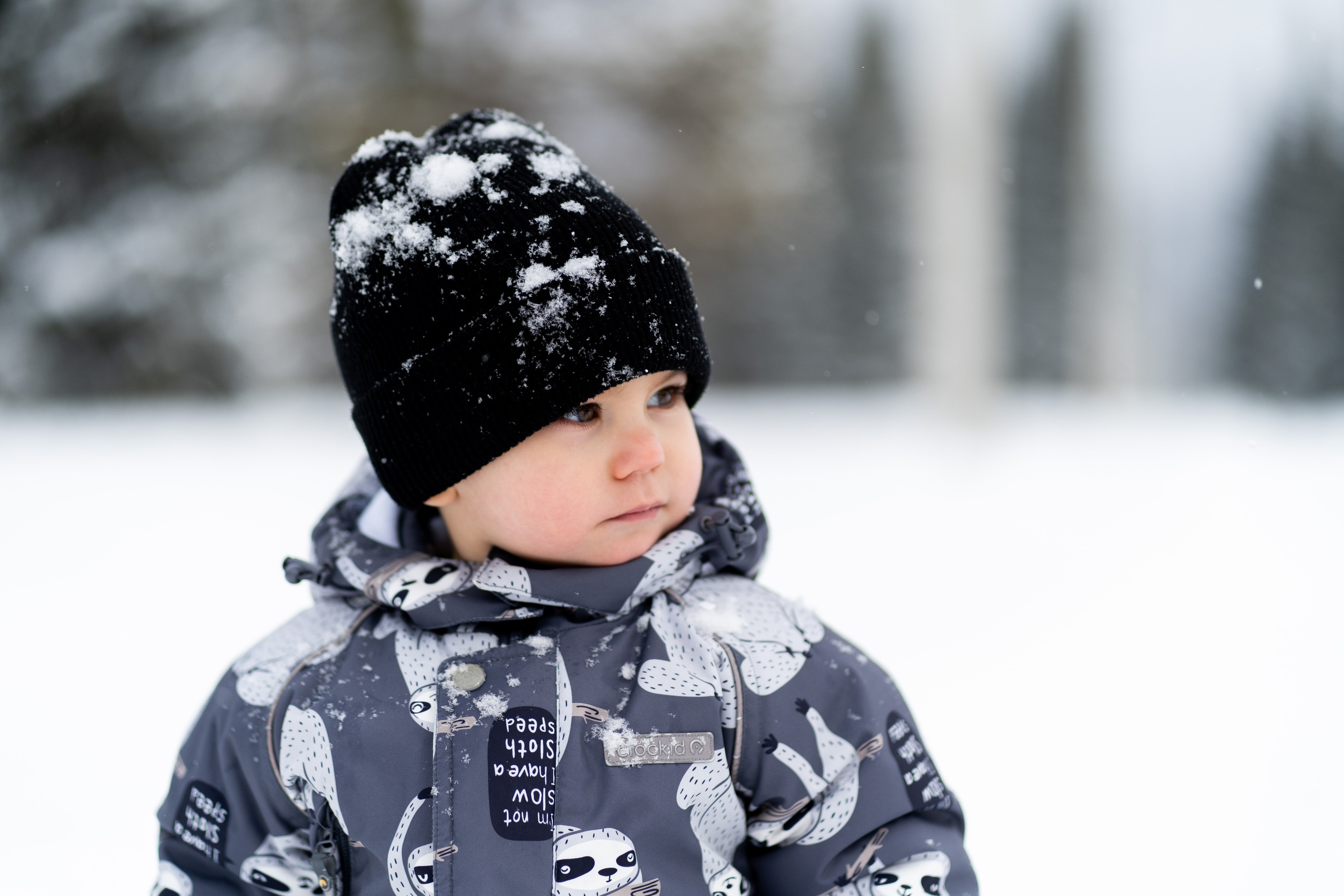 Соня&Лёня. Анастасия Паршукова — фотограф Шерегеш Новосибирск