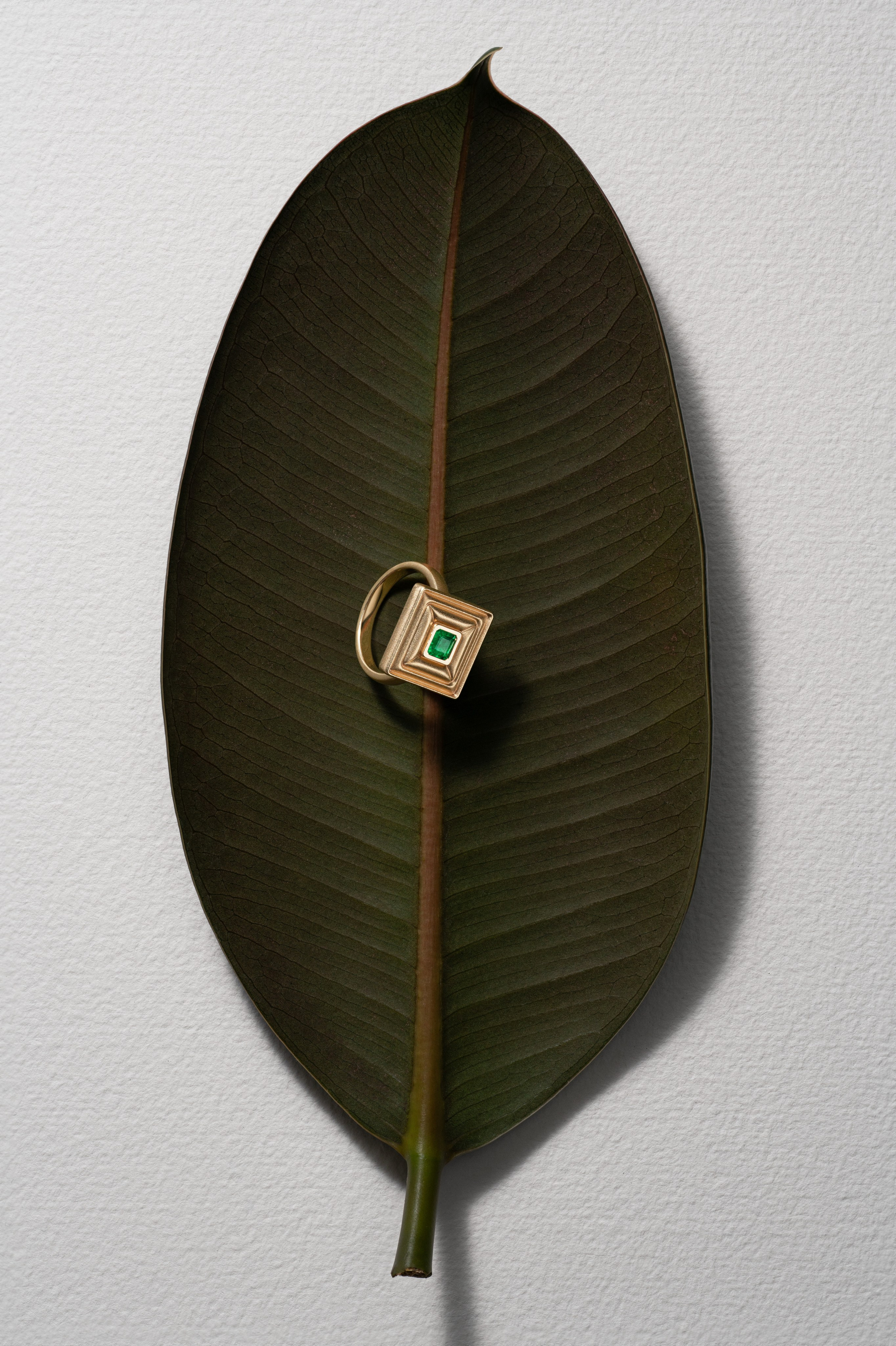 Портфолио. Оксана Ильенко. Предметный фотограф и сет-дизайнер, Санкт-Петербург