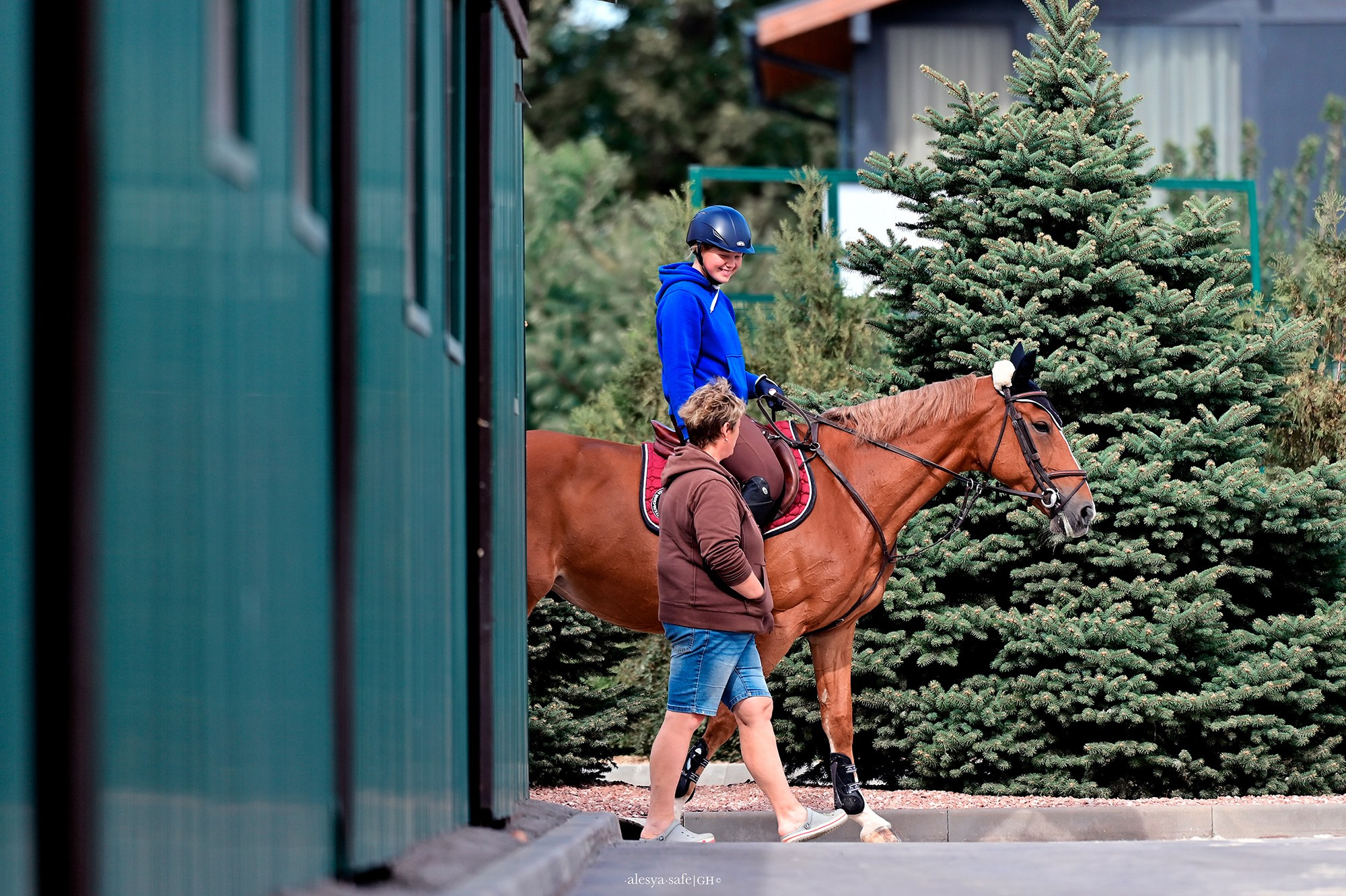 Голден. Конный фотограф Alesya Safe