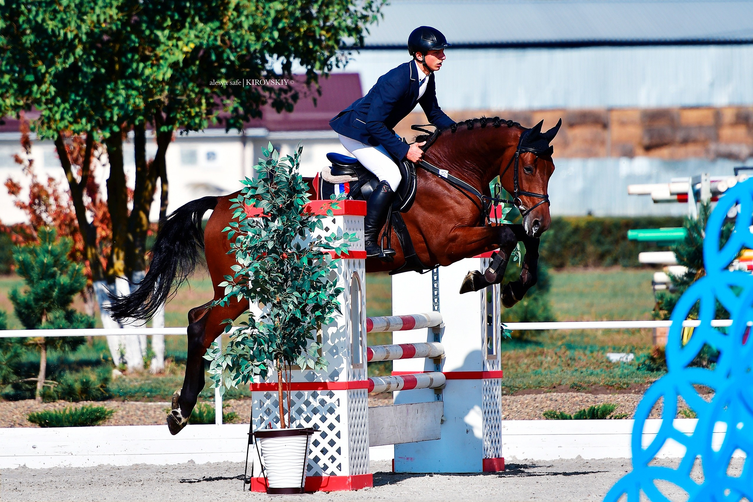 Кировский конный завод. Конный фотограф Alesya Safe