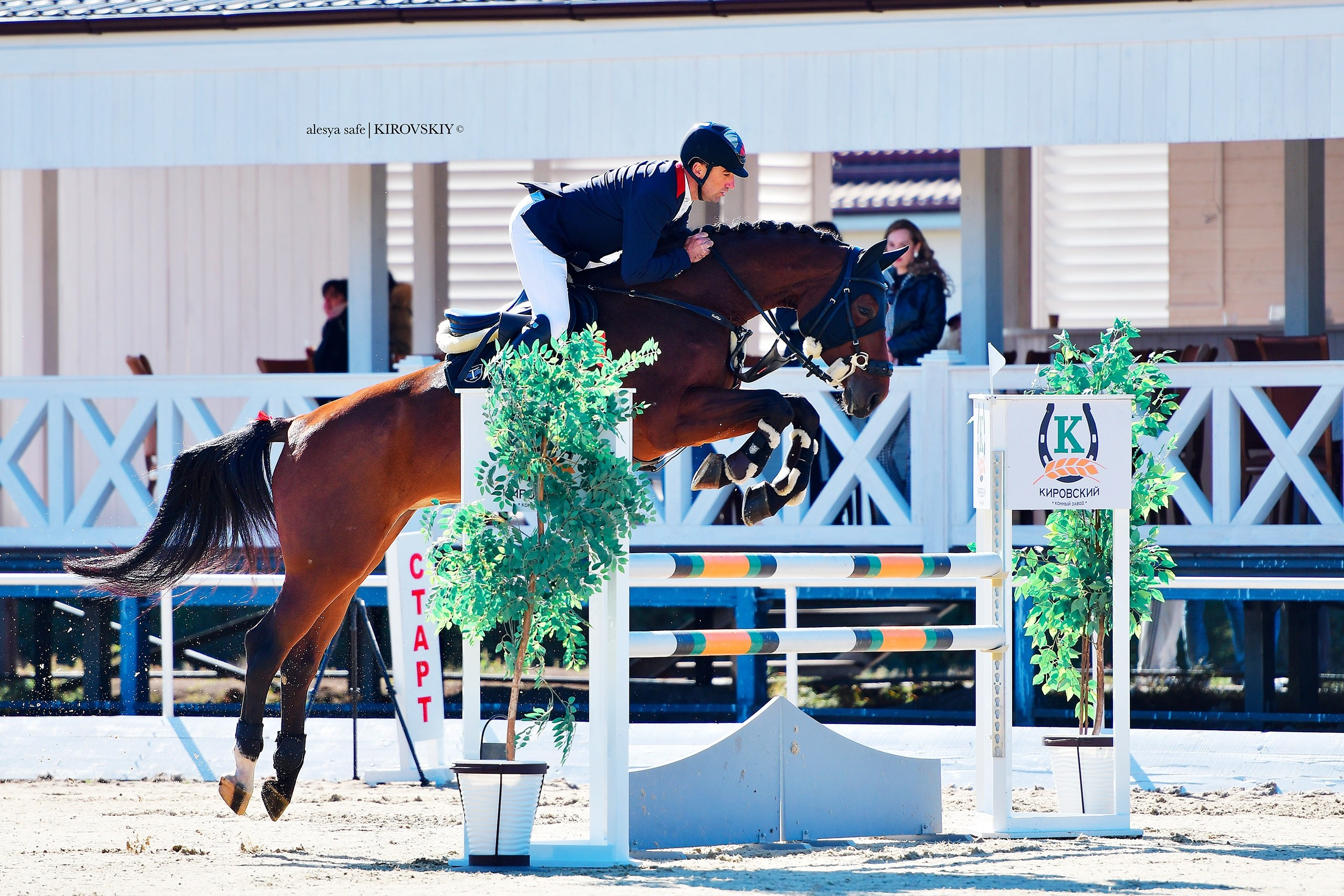 Кировский конный завод. Конный фотограф Alesya Safe