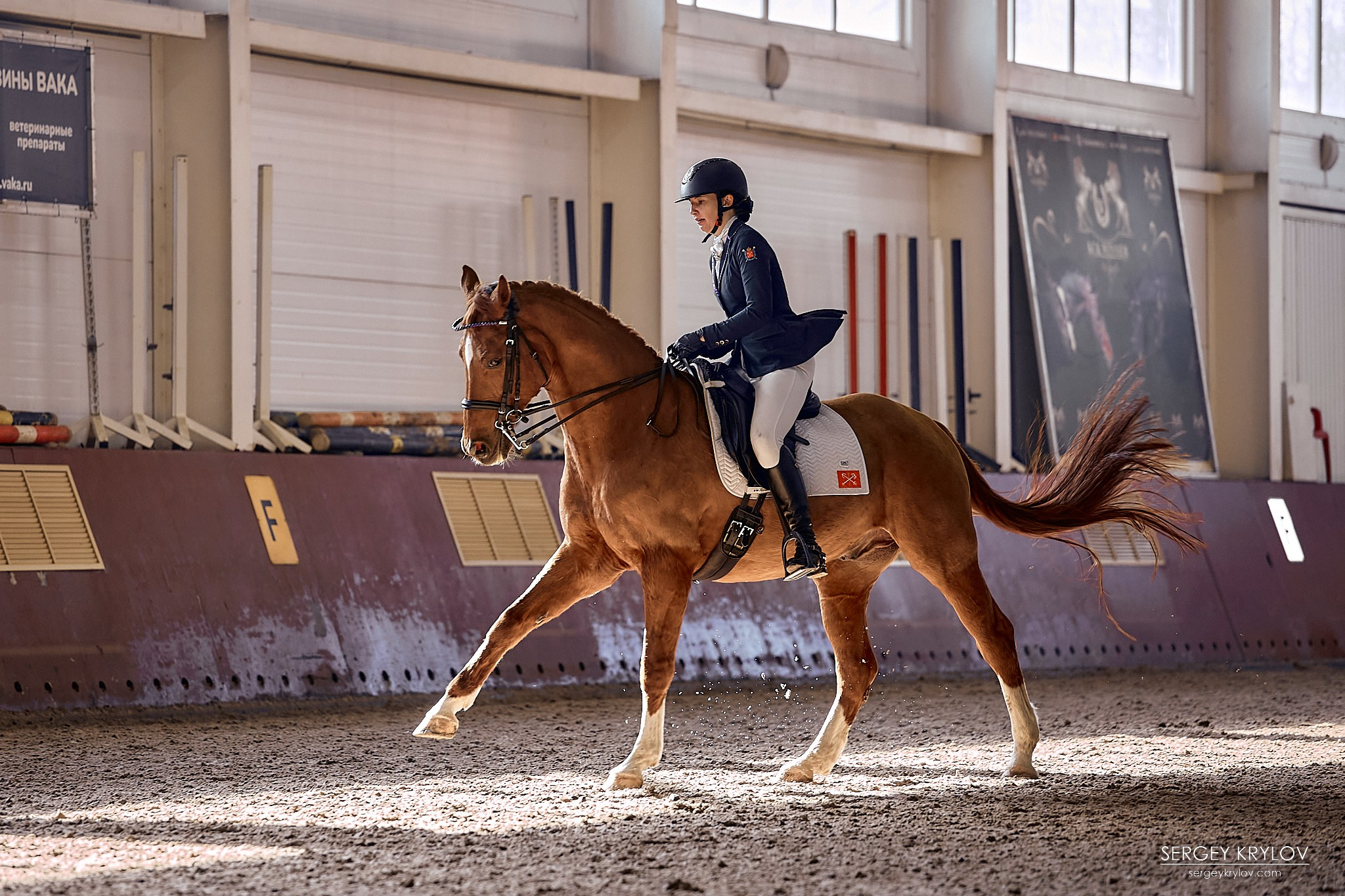 Конный фотограф. Съемка соревнований по конной выездке