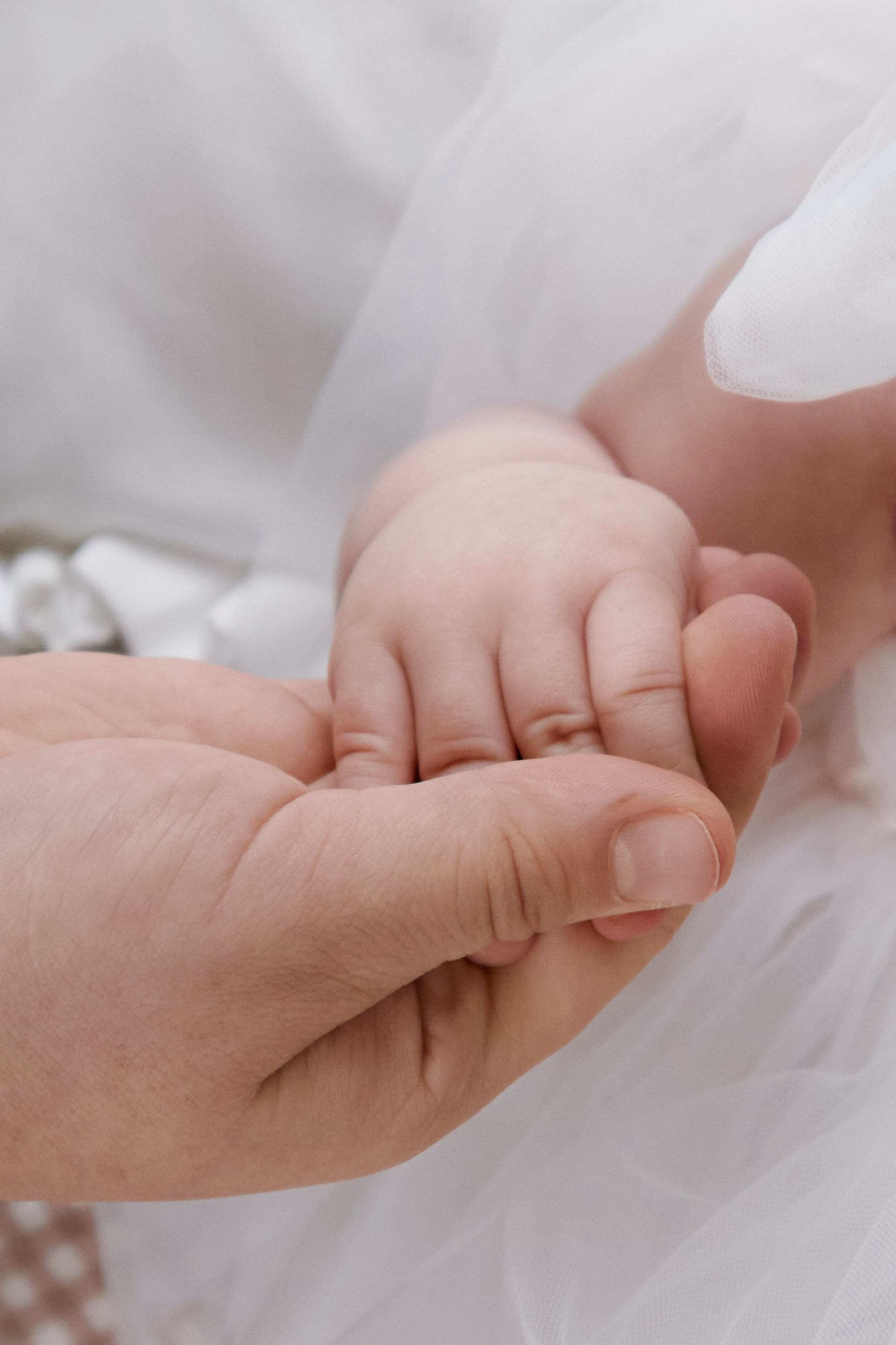 Family portrait. Портретный и семейный фотограф в Краснодаре