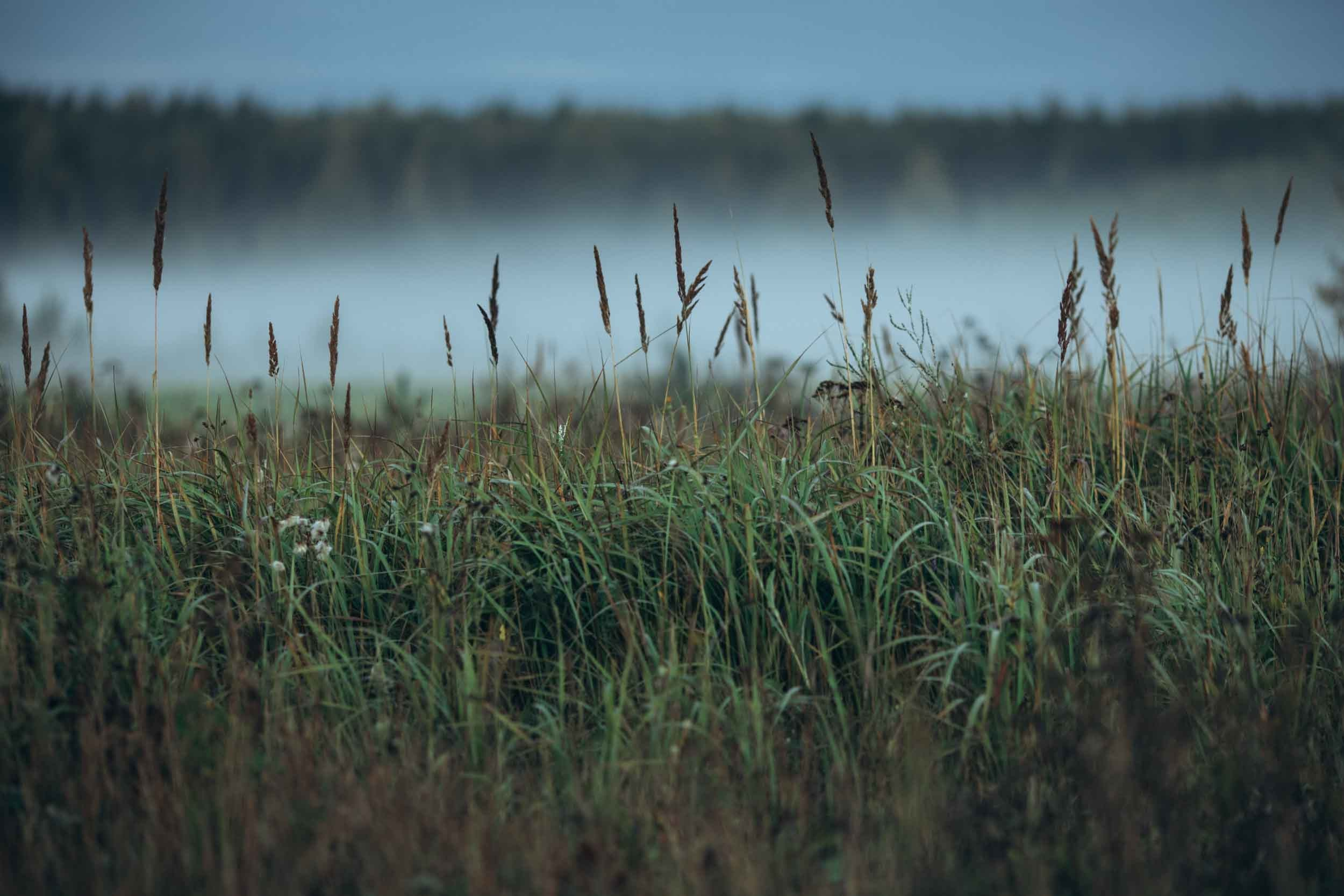 Природные пейзажи. Наталия Клевинскас портретный фотограф в Костроме