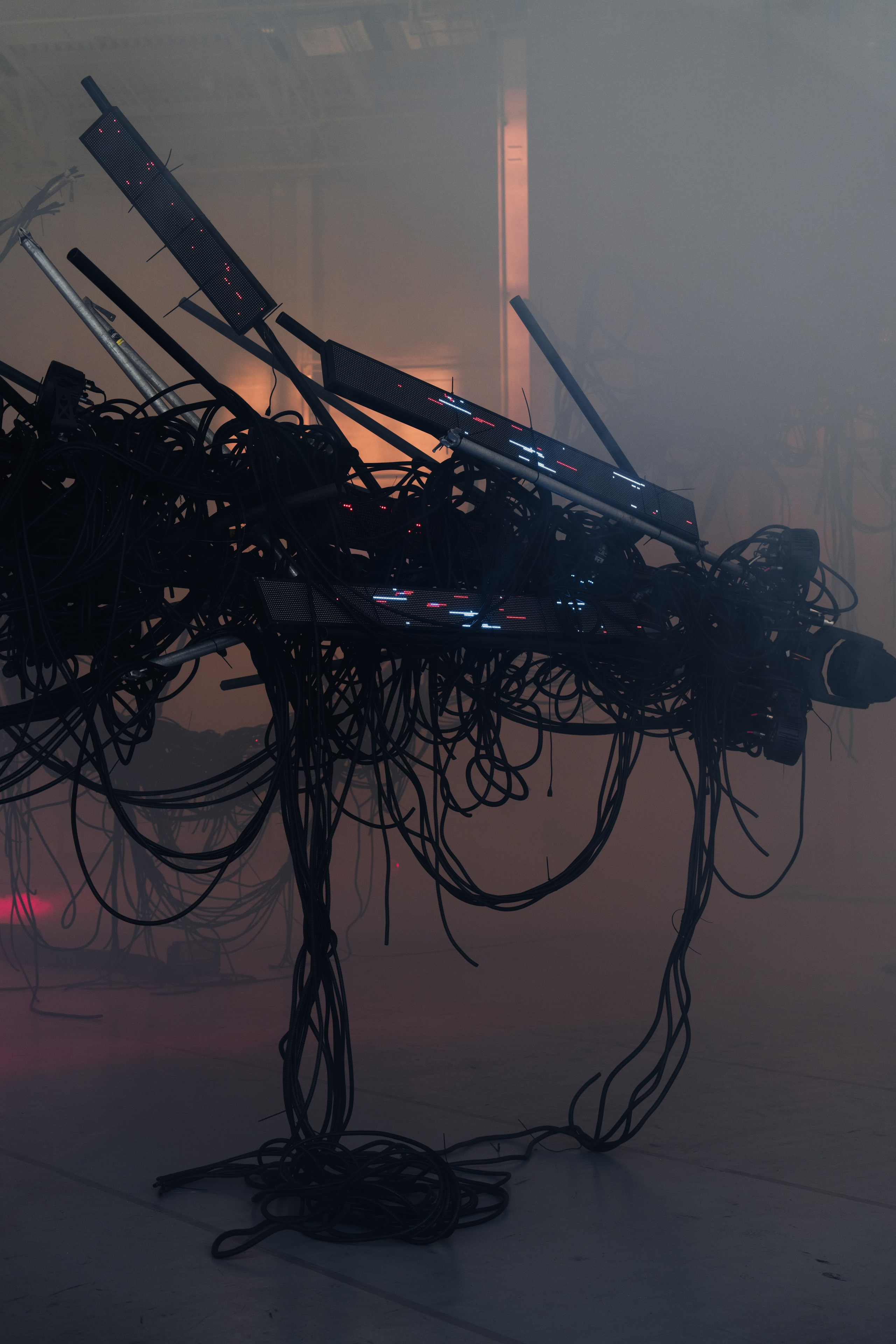 PANTERRA, CHRONOMORPH 001. @tomrus: Рустам Шагиморданов — фотограф