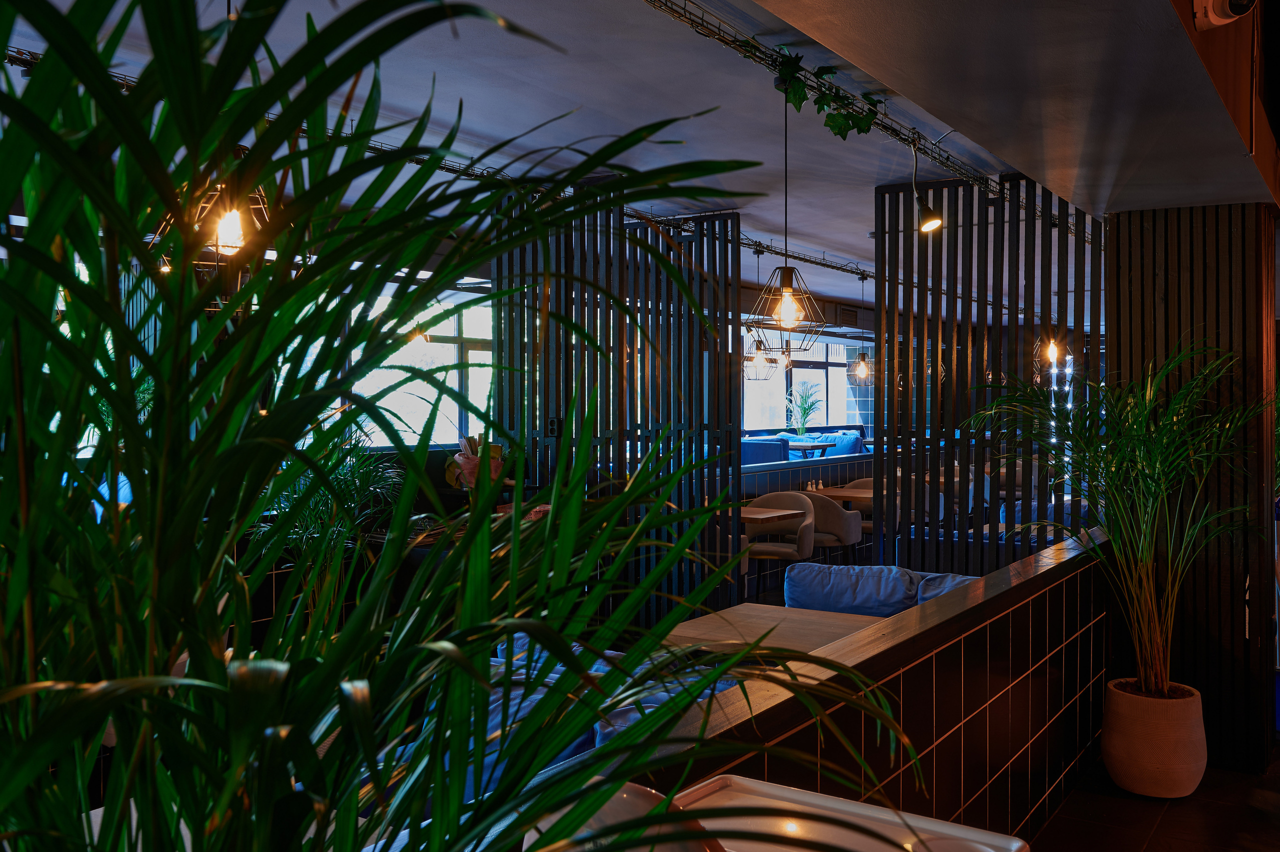 Rollissimo кафе. Интерьерный фотограф в Краснодаре