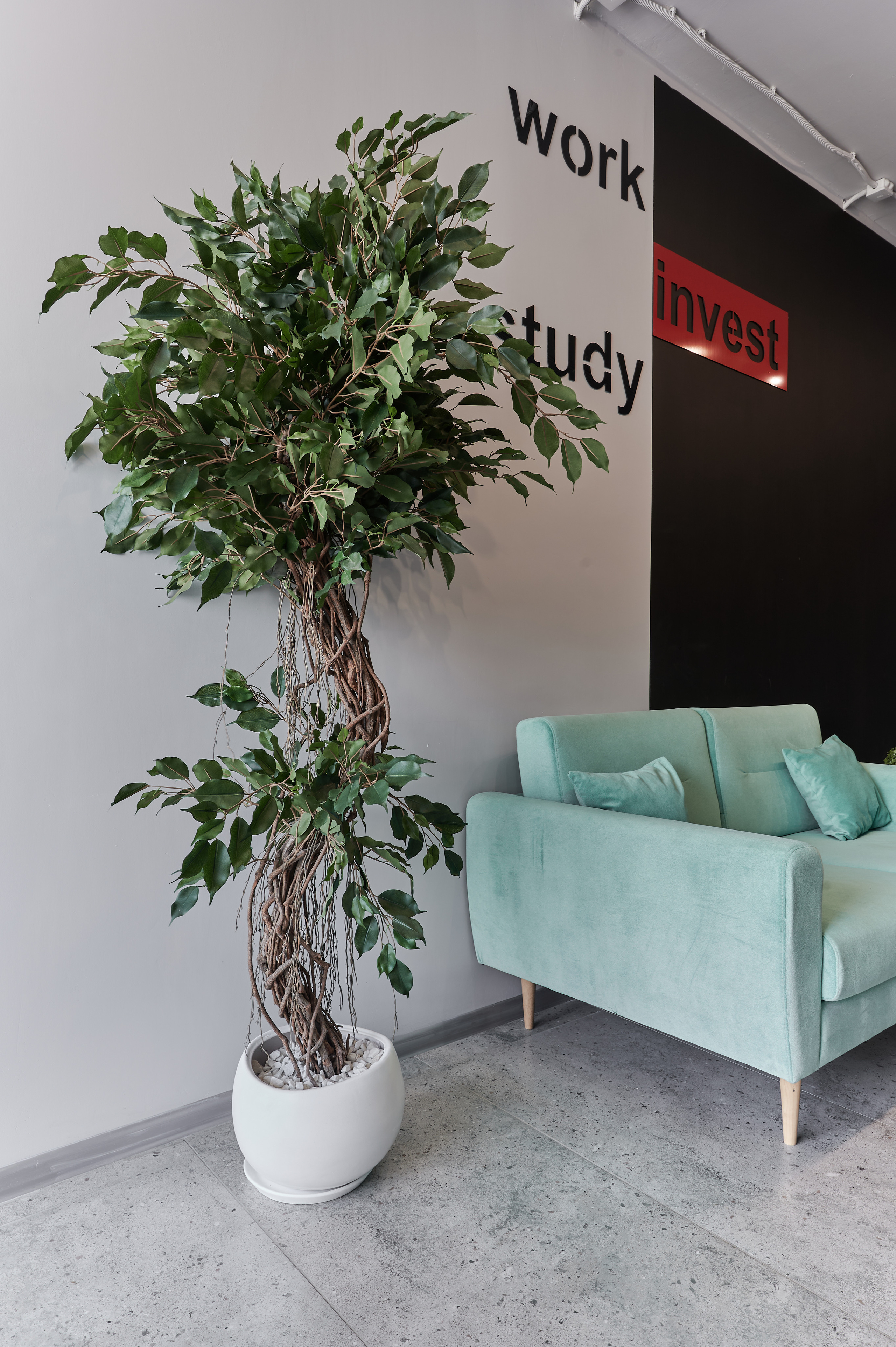 Work invest study. Интерьерный фотограф в Краснодаре