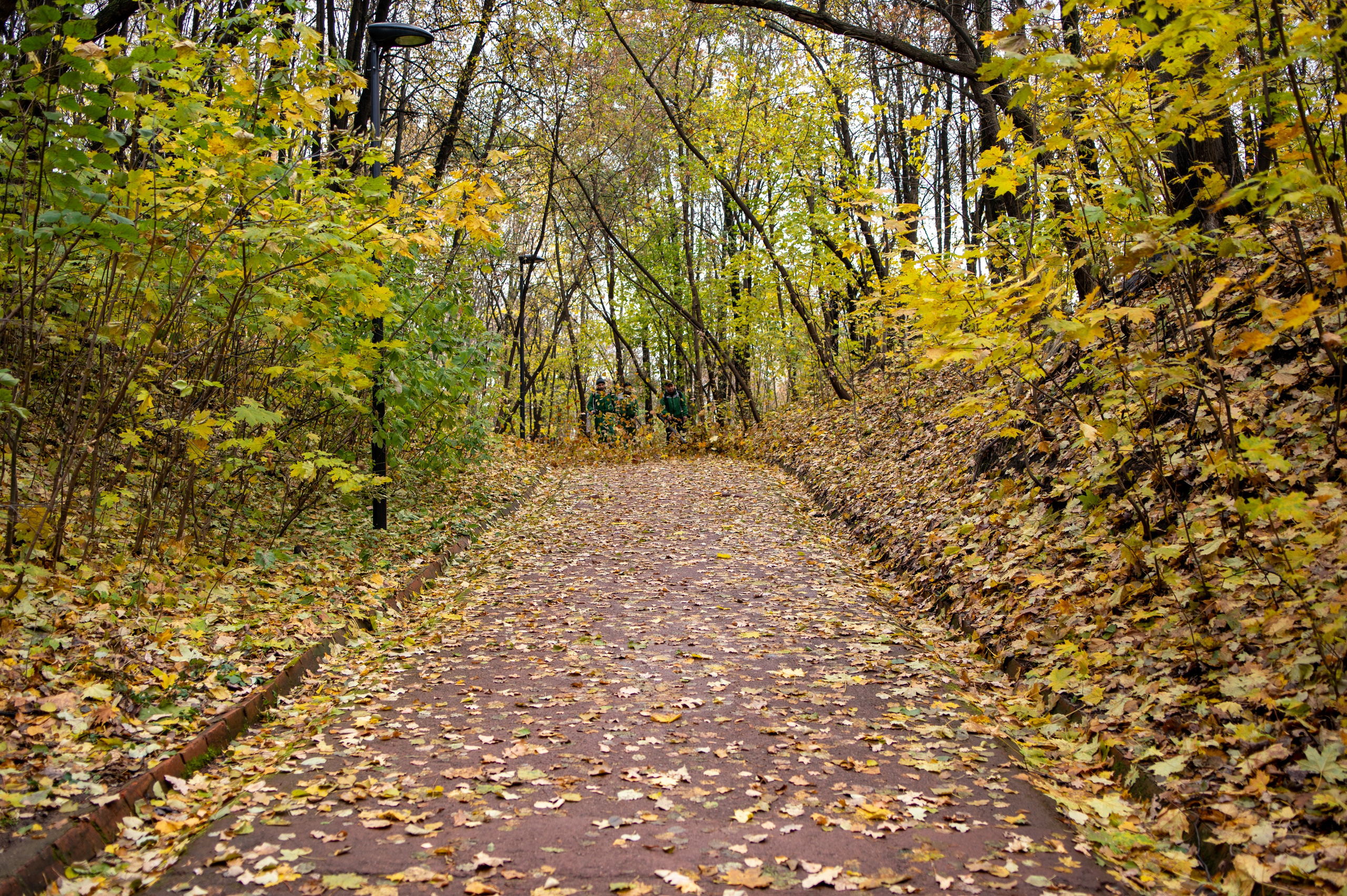 20231031 Нескучный сад. Дмитрий Ремизов. Фотография, как хобби