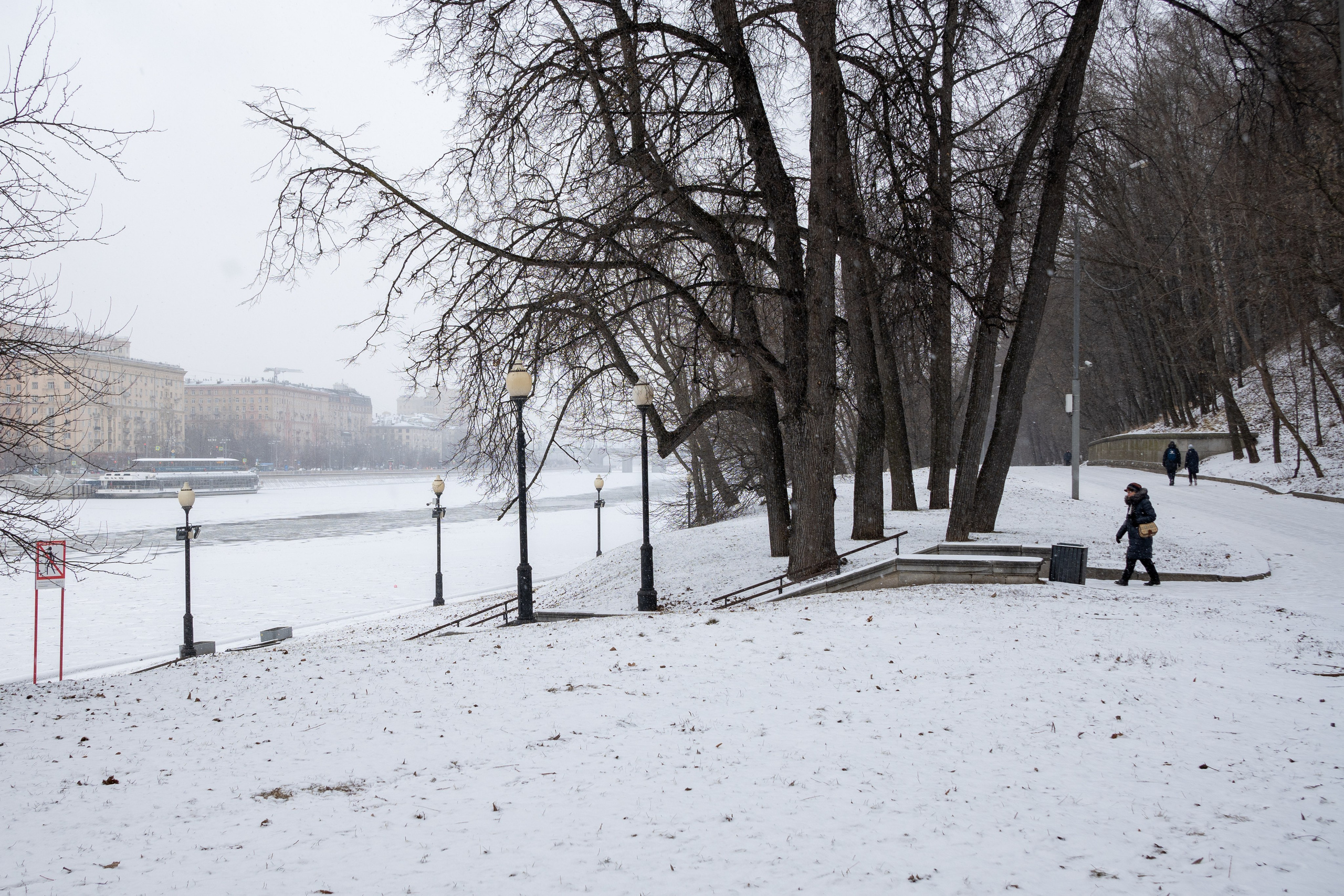 20250216 Нескучный сад. Дмитрий Ремизов. Фотография, как хобби