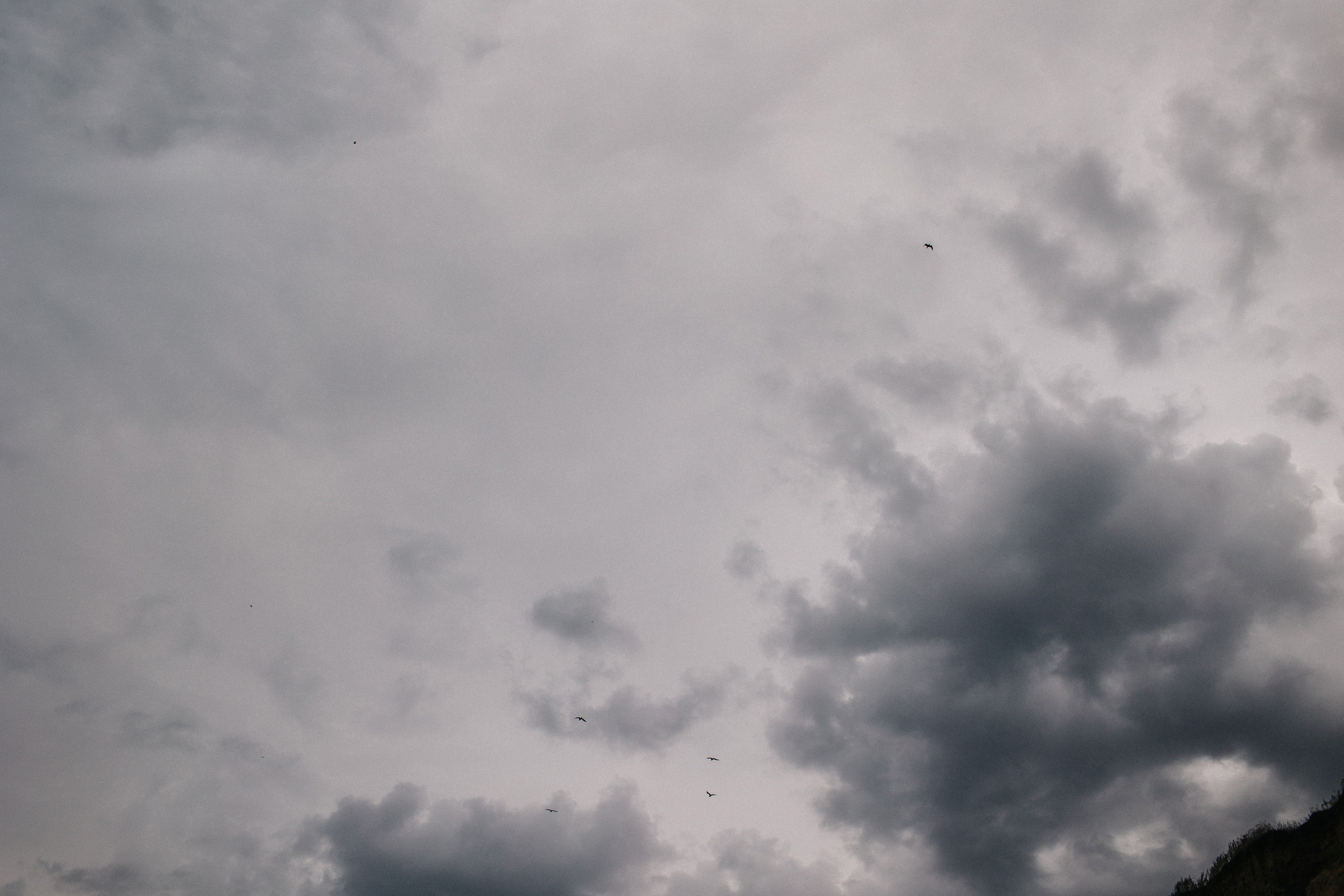 В ожидании. Свадебный и семейный фотограф в Самаре Посконнова Анна